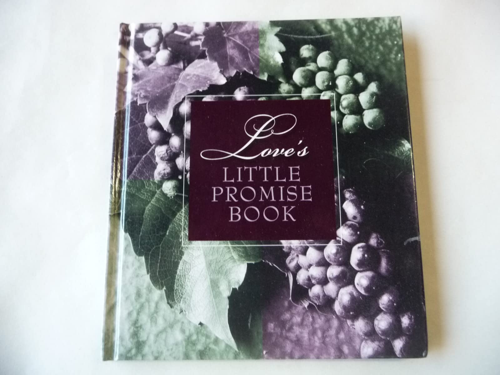 Love's Little Promise Book book
