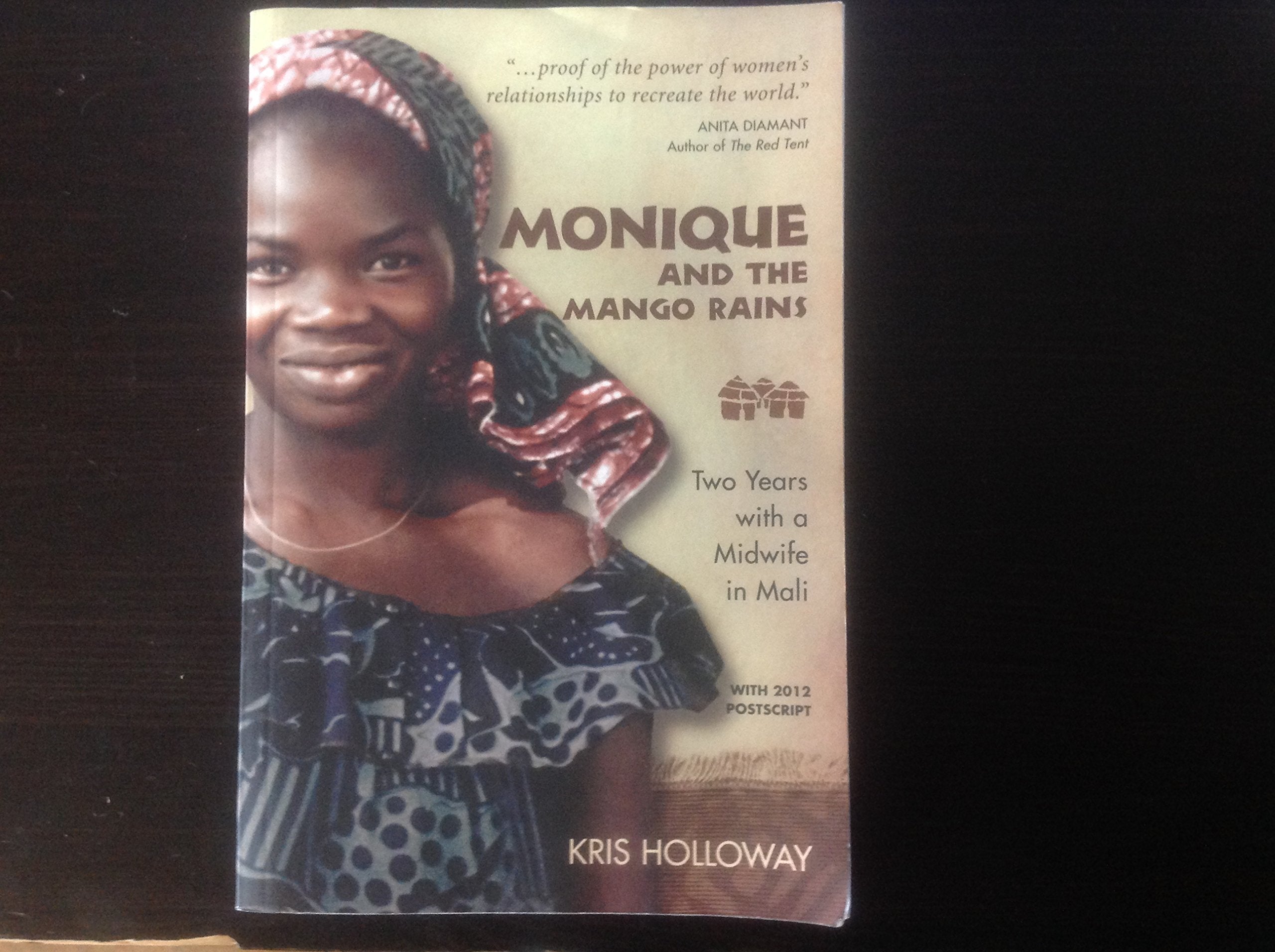 Monique And the Mango Rains: Two Years With a Midwife in Mali Medicine