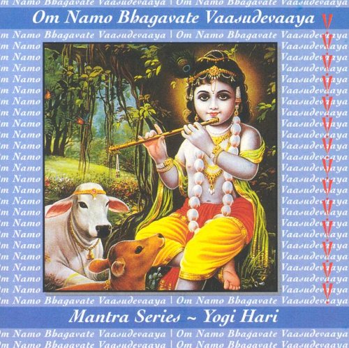 Om Namo Bhagavate Vaasudevaaya: Mantra Series Music
