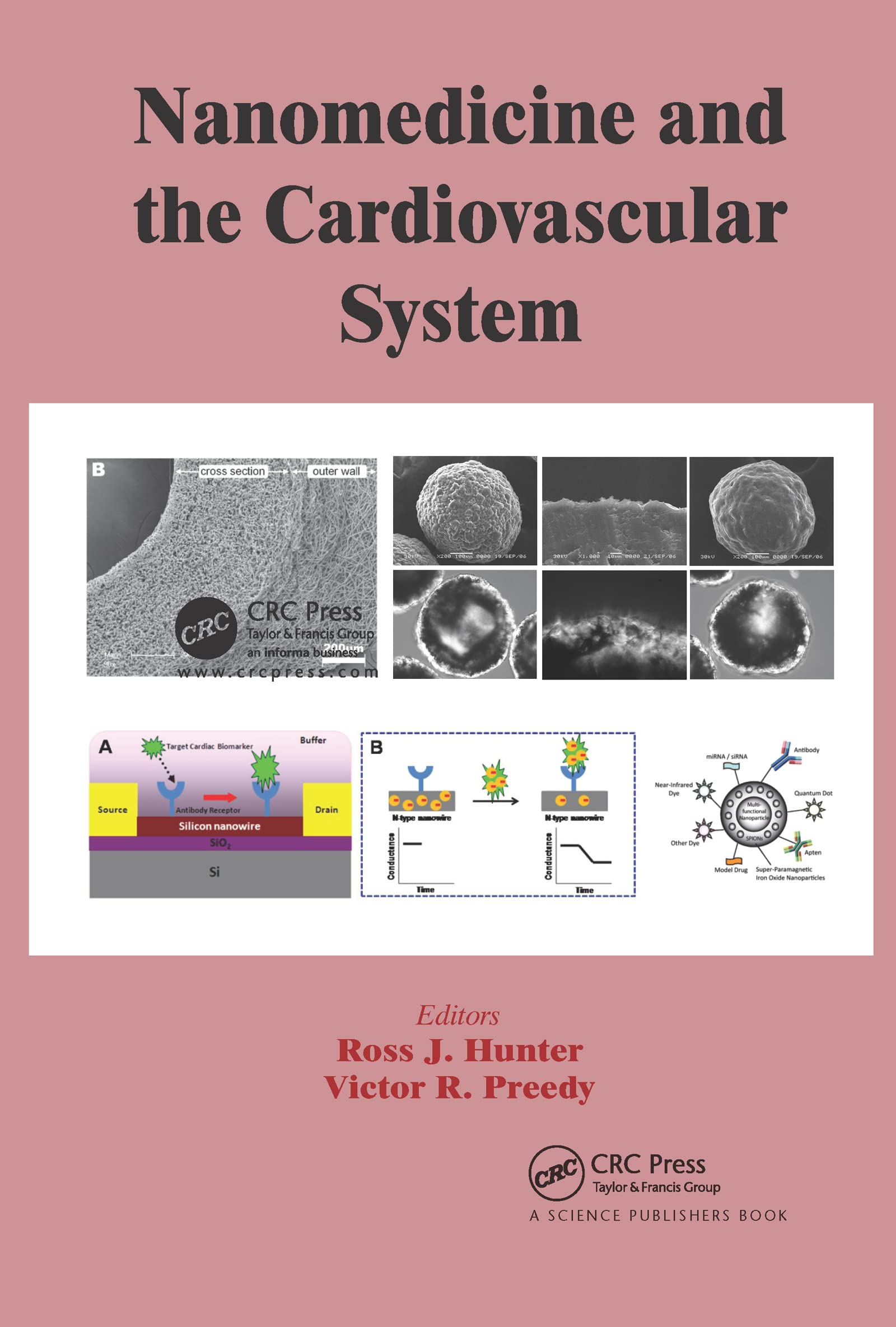 Nanomedicine and the Cardiovascular System Medicine