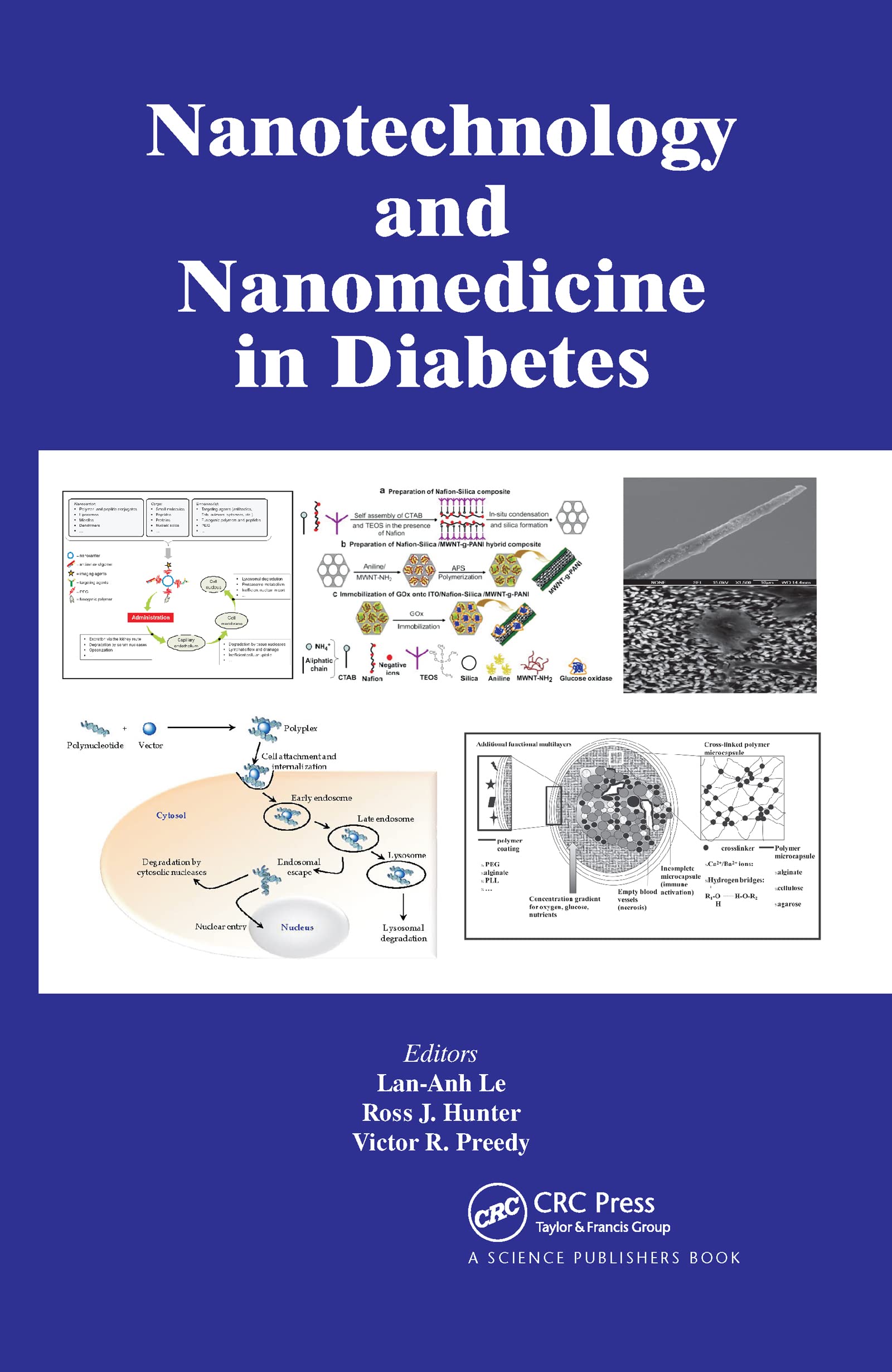 Nanotechnology and Nanomedicine in Diabetes Medicine