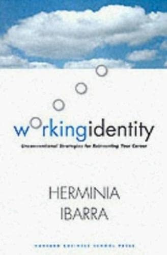 Working Identity: Unconventional Strategies for Reinventing Your Career Business, Finance & Career