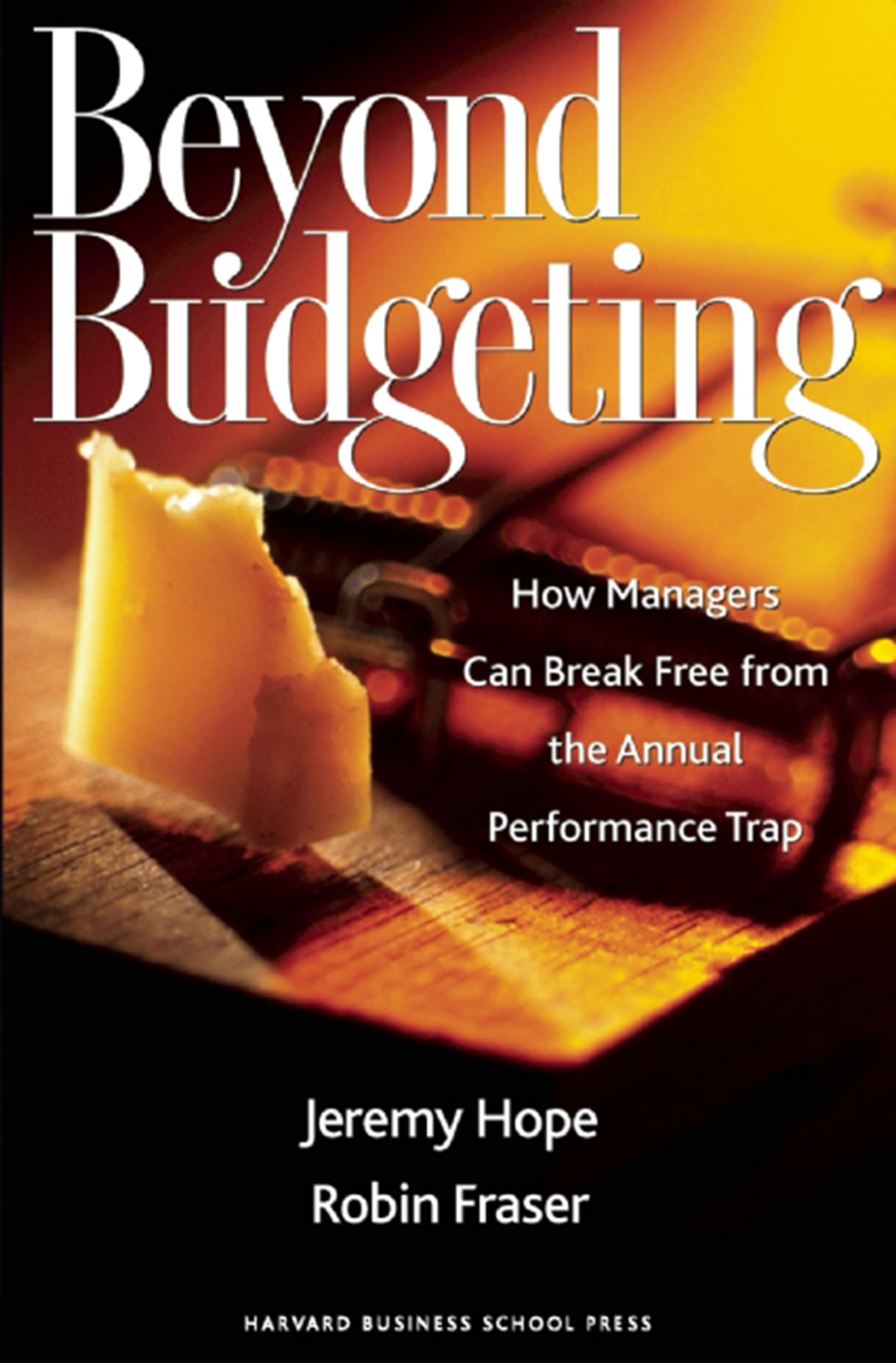 Beyond Budgeting Law Books