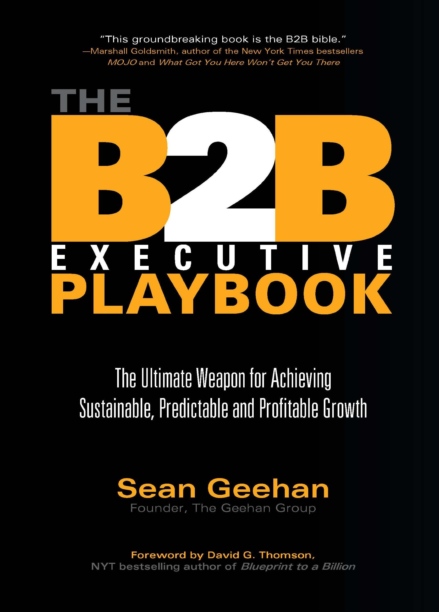 B2B Executive Playbook: The Ultimate Weapon for Achieving Sustainable, Predictable and Profitable Growth Business, Finance & Career
