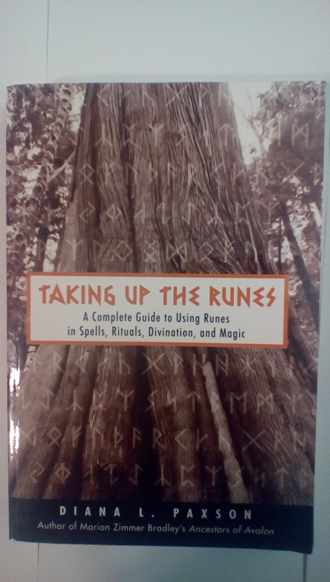 Taking Up the Runes: A Complete Guide to Using Runes in Spells, Rituals, Divination, and Magic Religion & Esotericism