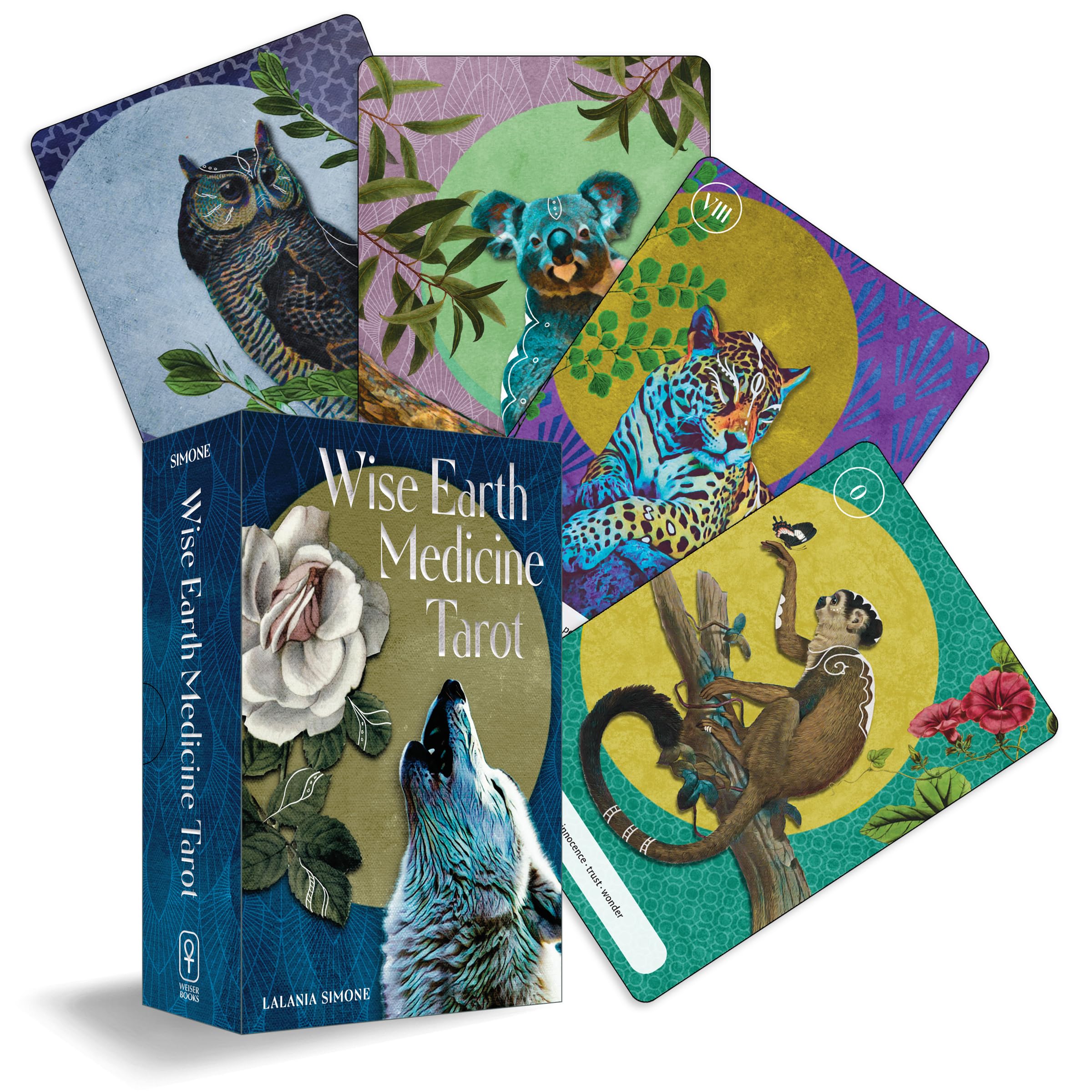 Wise Earth Medicine Tarot: (78 Full-Color Cards and 96-Page Full-Color Guidebook) Mathematics