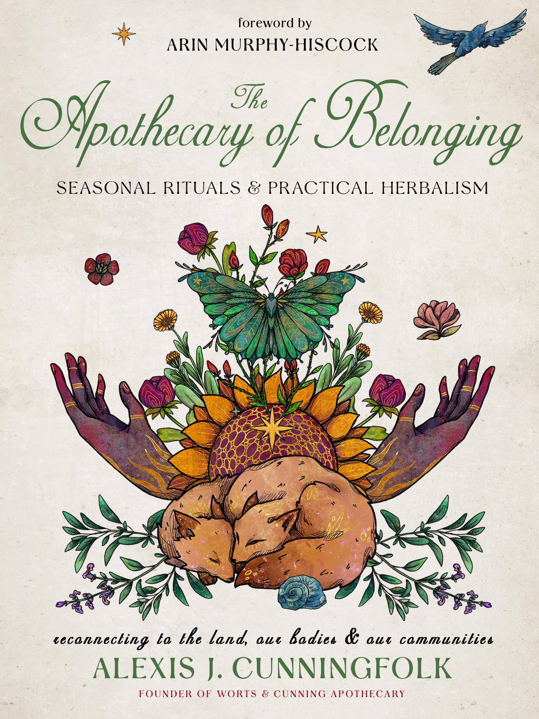 The Apothecary of Belonging: Seasonal Rituals and Practical Herbalism Mathematics