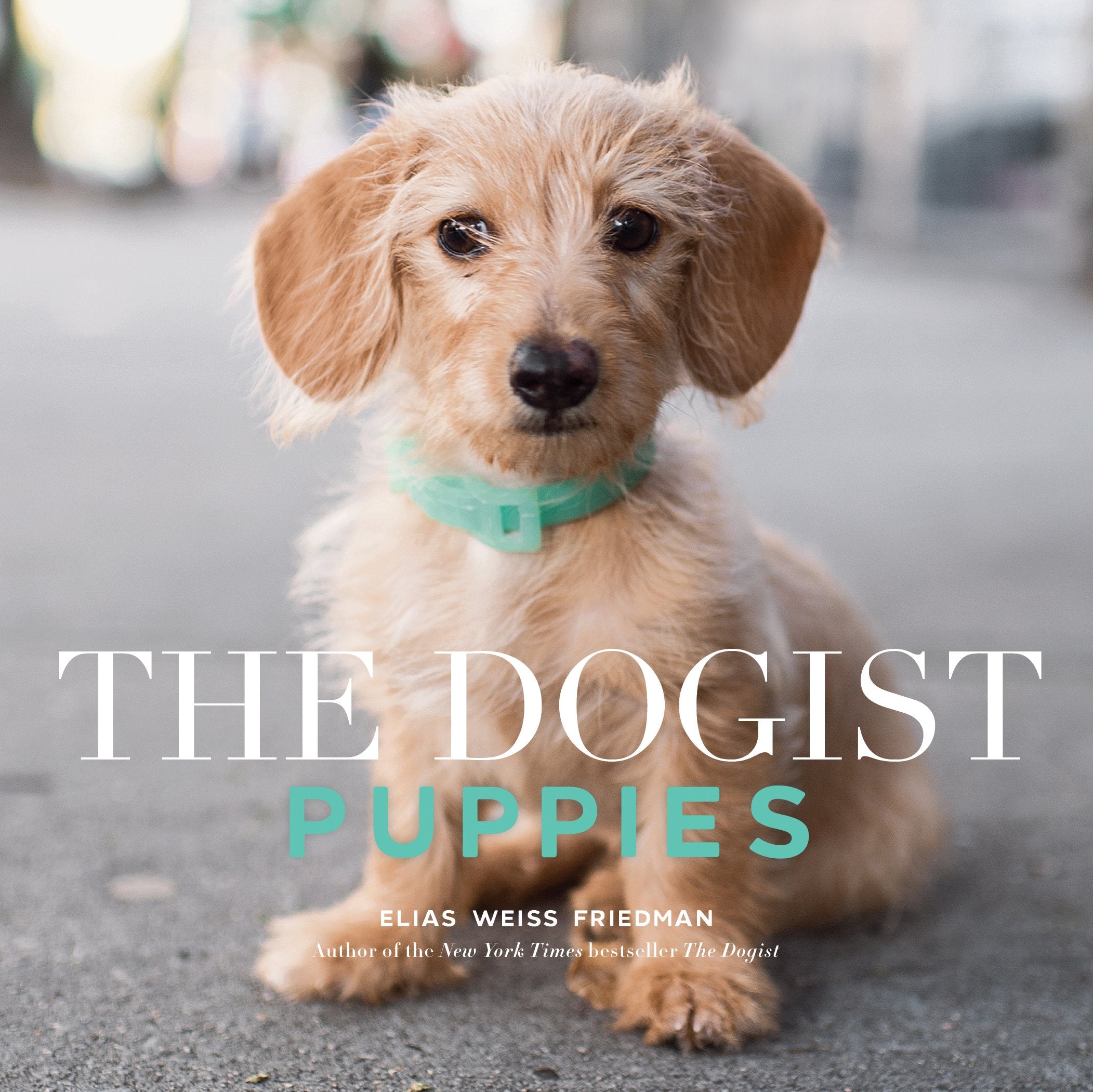 The Dogist Puppies Social Sciences
