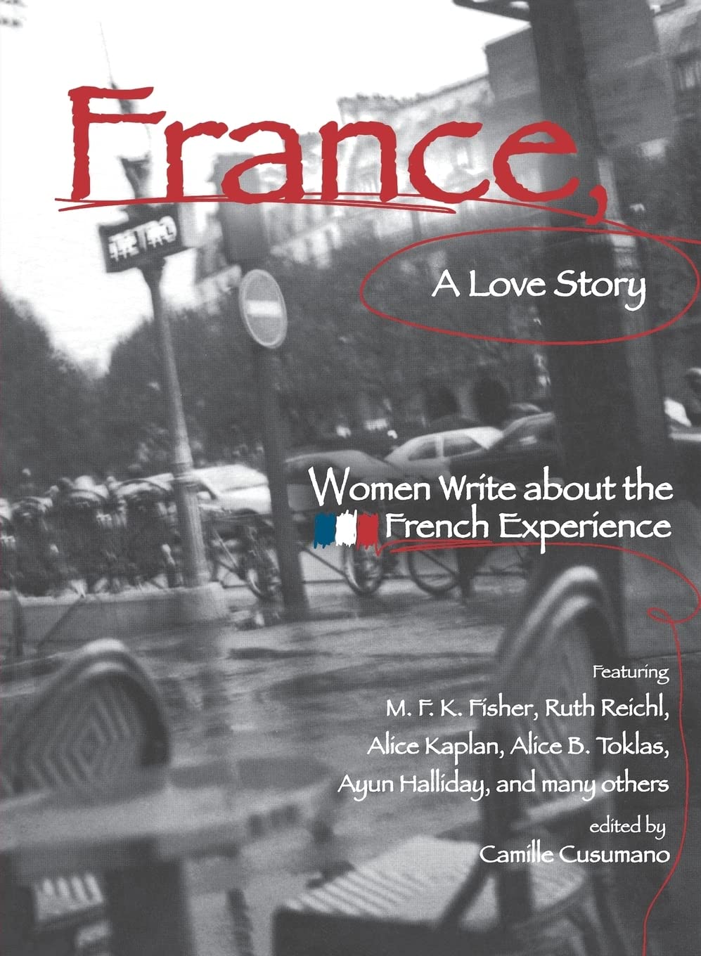 France, a Love Story Contemporary literature