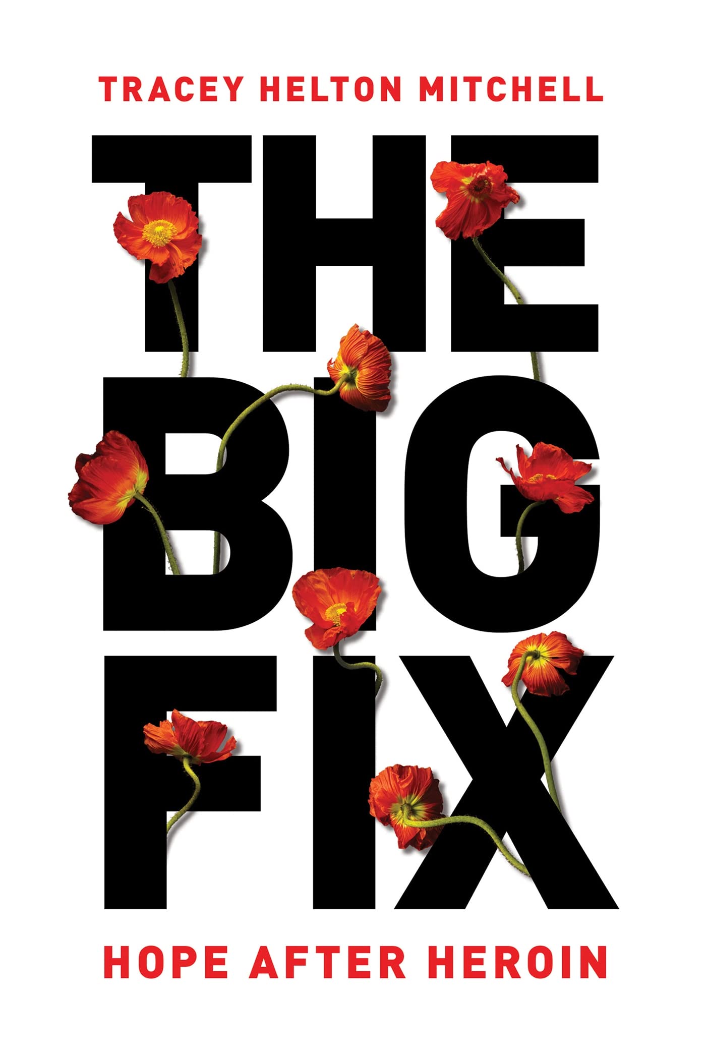 The Big Fix: Hope After Heroin Art & Literature