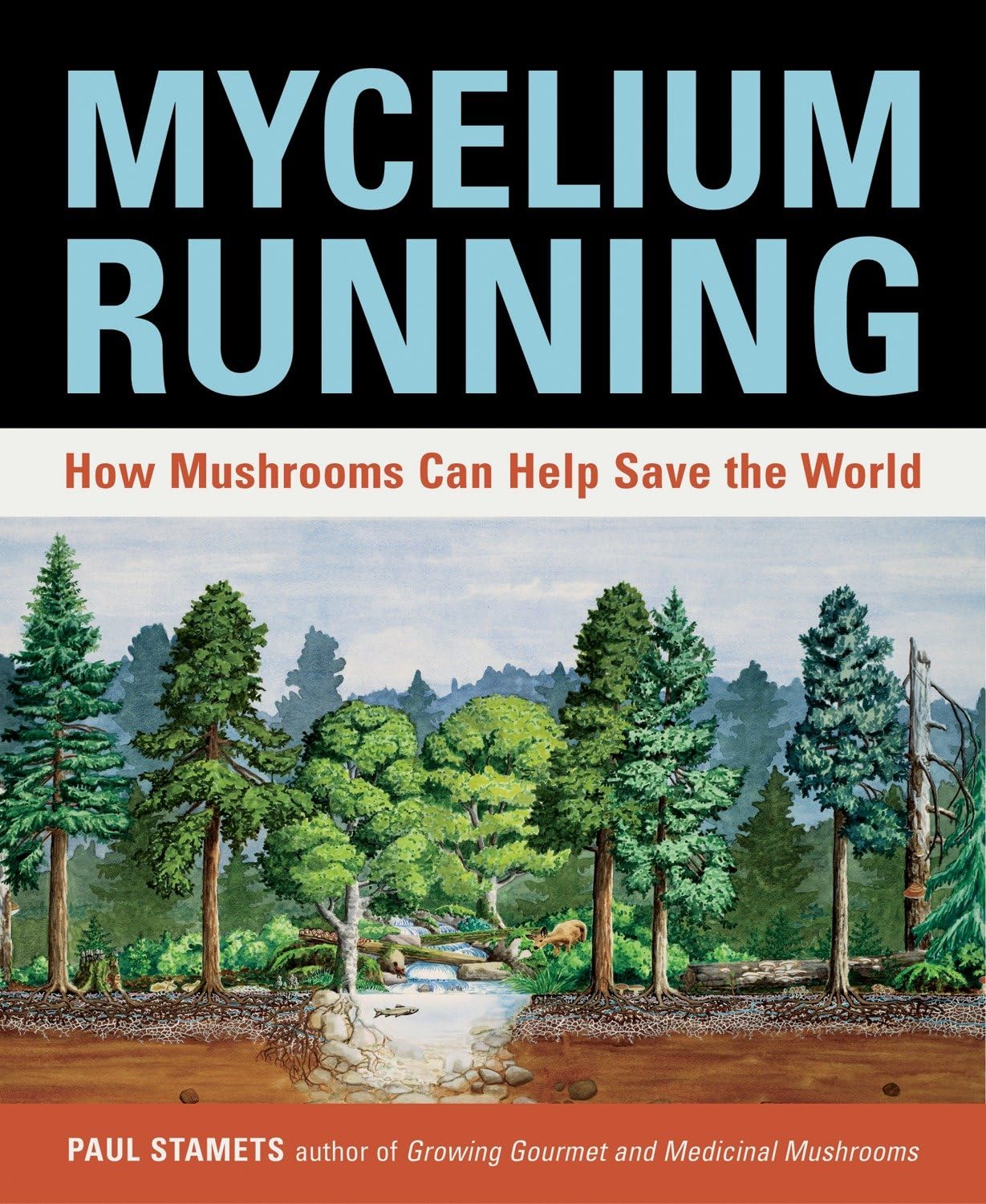 Mycelium Running book