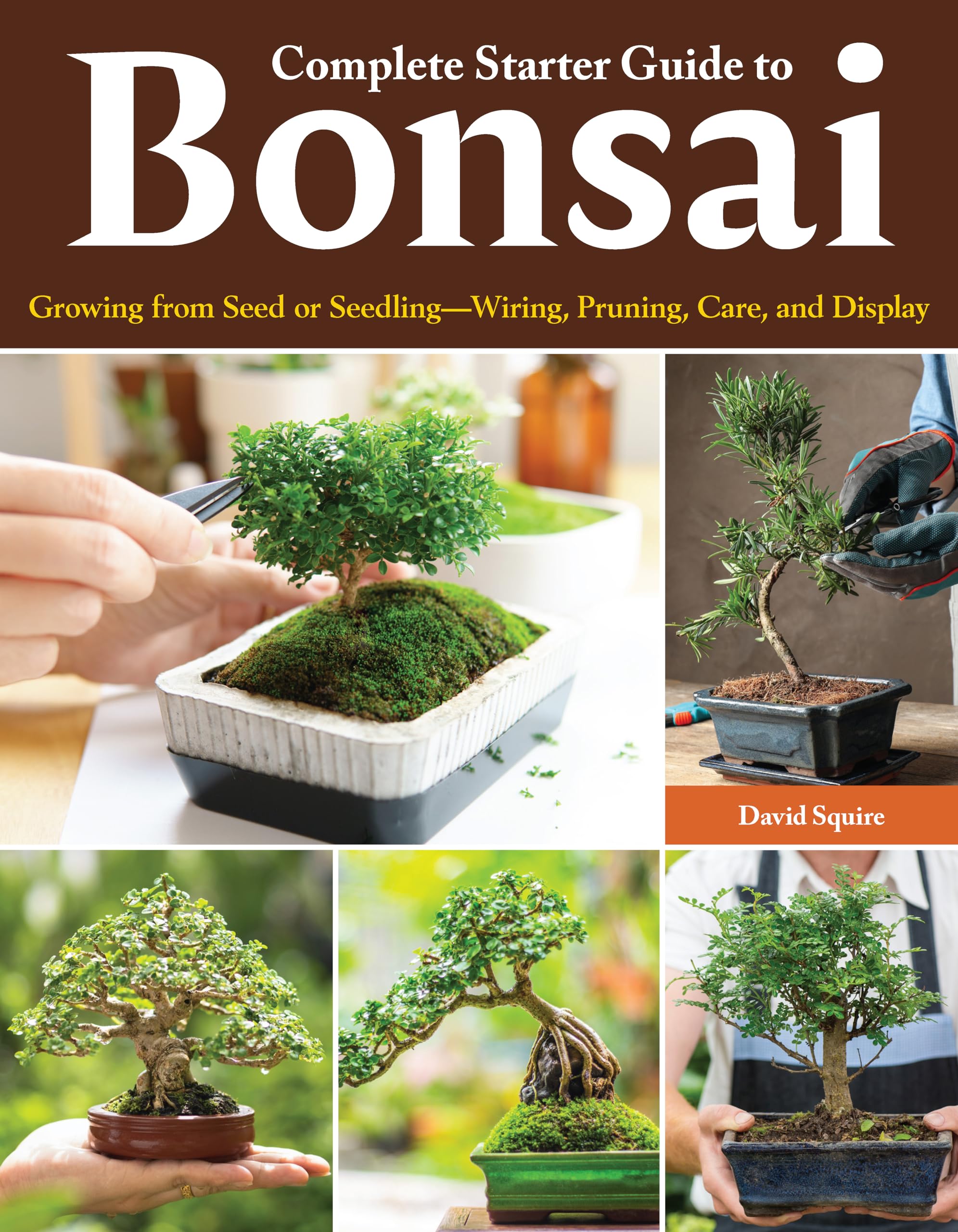 Complete Starter Guide to Bonsai: Growing from Seed or Seedling--Wiring, Pruning, Care, and Display Garden & Plants