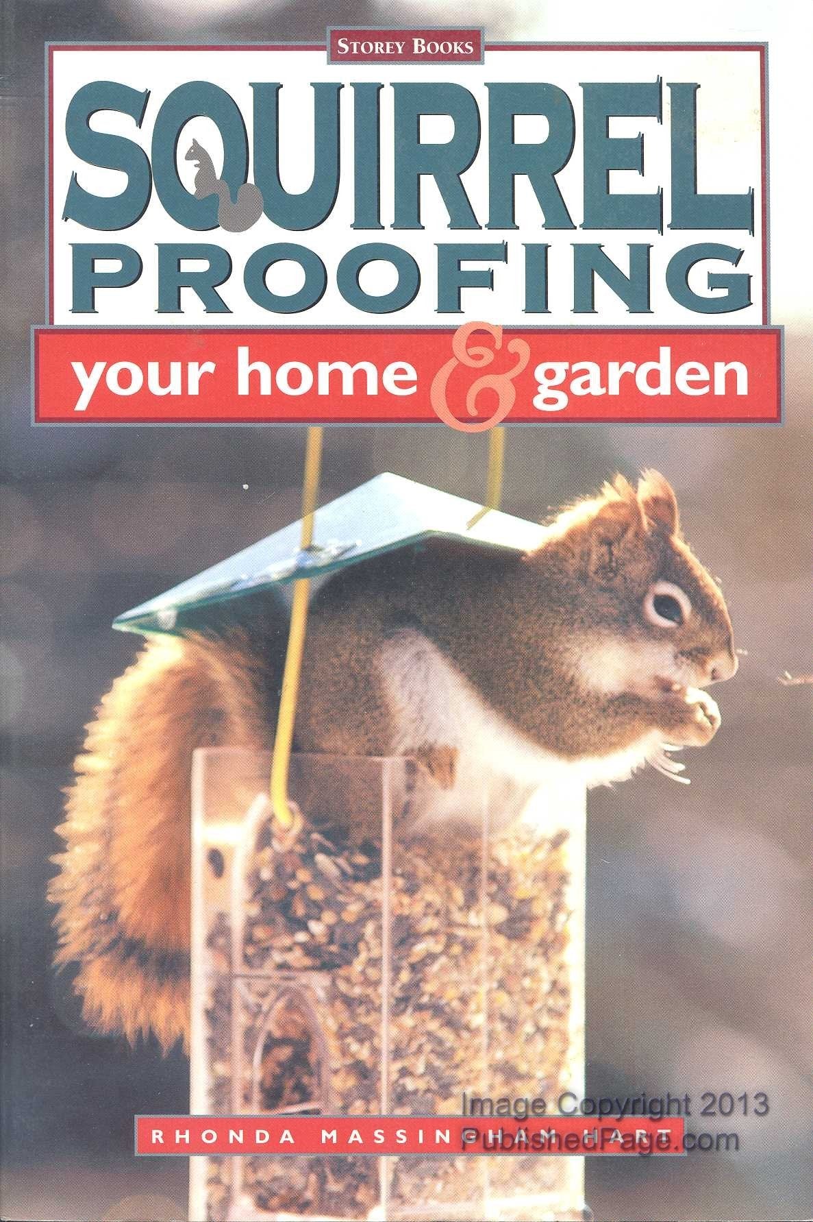 Squirrel Proofing Your Home & Garden: Your Home and Garden Garden & Plants