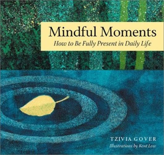 Mindful Moments for Stressful Days: Simple Ways to Find Meaning and Joy in Daily Life book