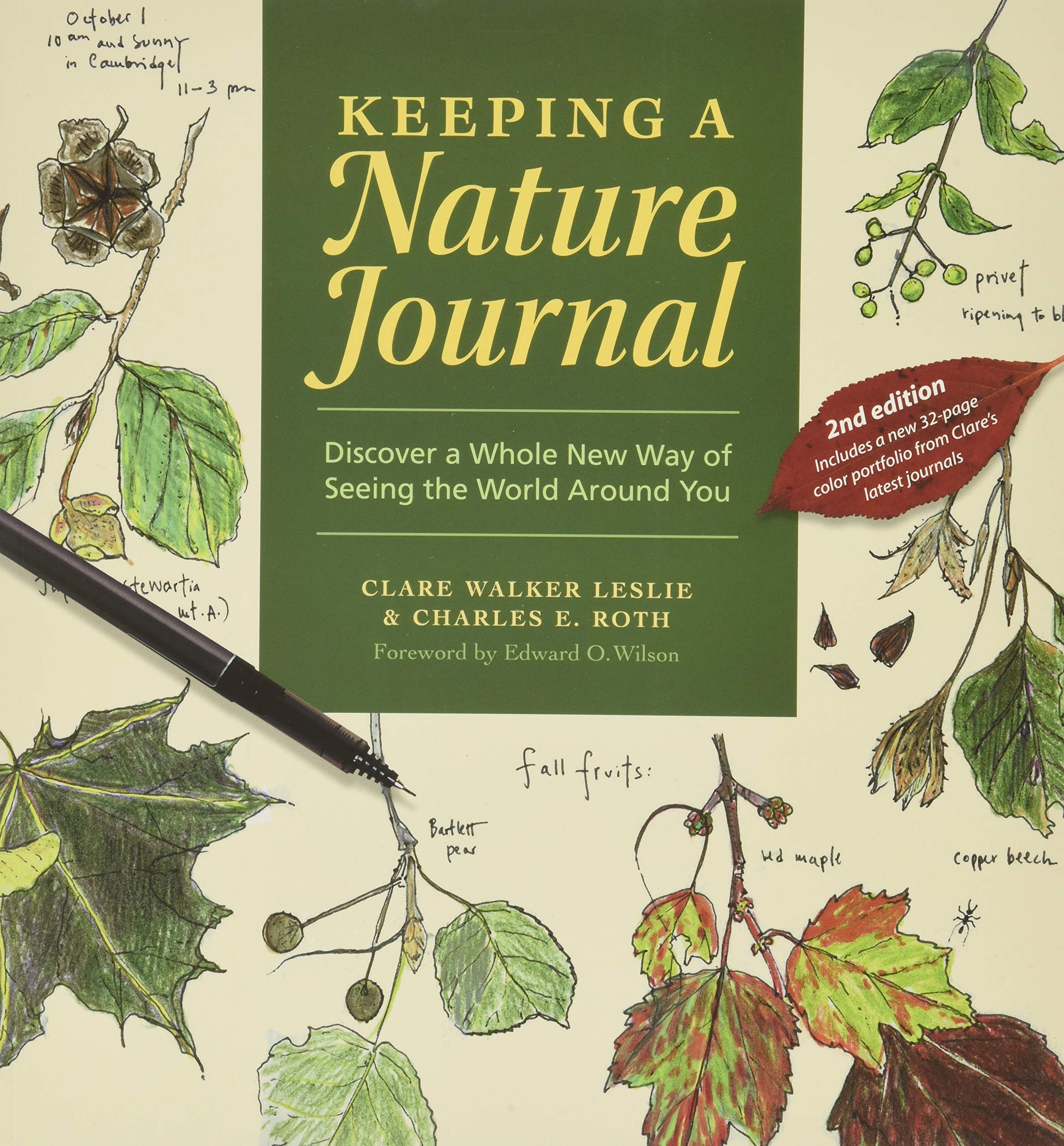 Keeping A Nature Journal: Discover A Whole New Way Of Seeing The World Around You Mathematics