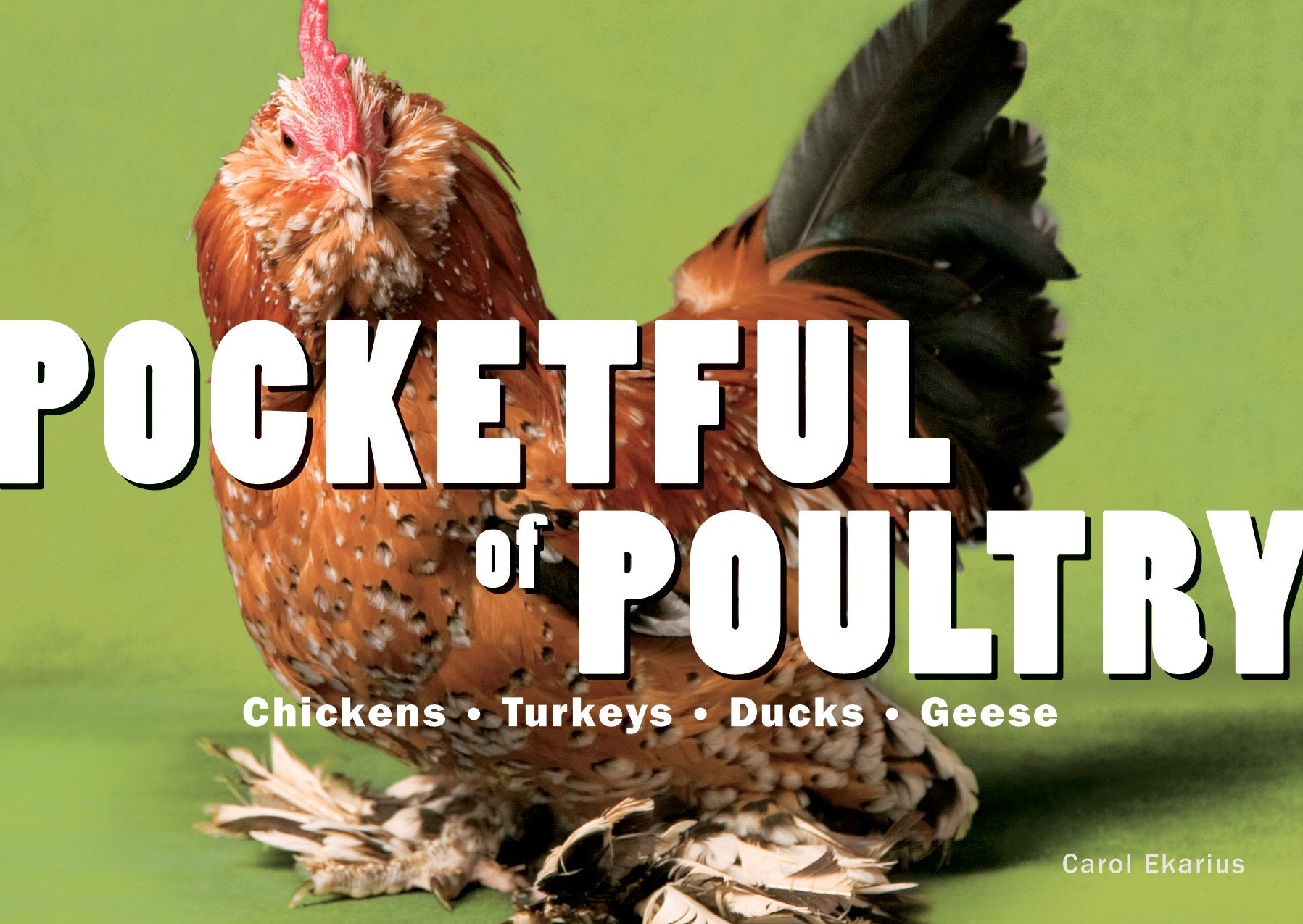 Pocketful of Poultry: Chickens, Ducks, Geese, Turkeys Mathematics