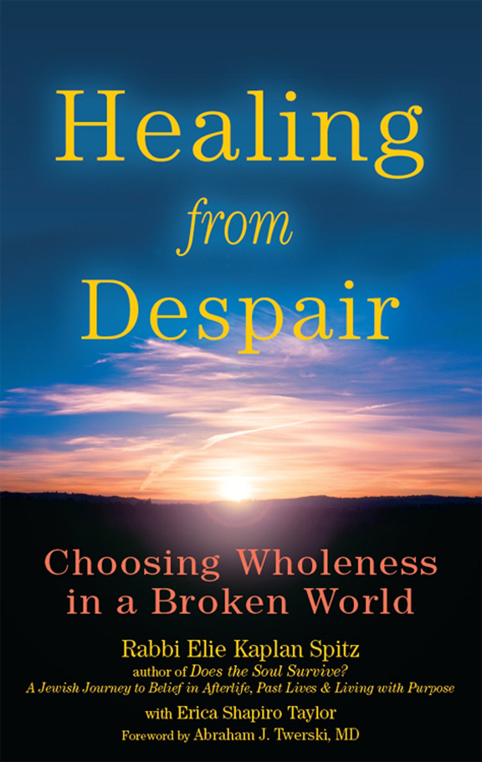 Healing from Despair: Choosing Wholeness in a Broken World Social Sciences