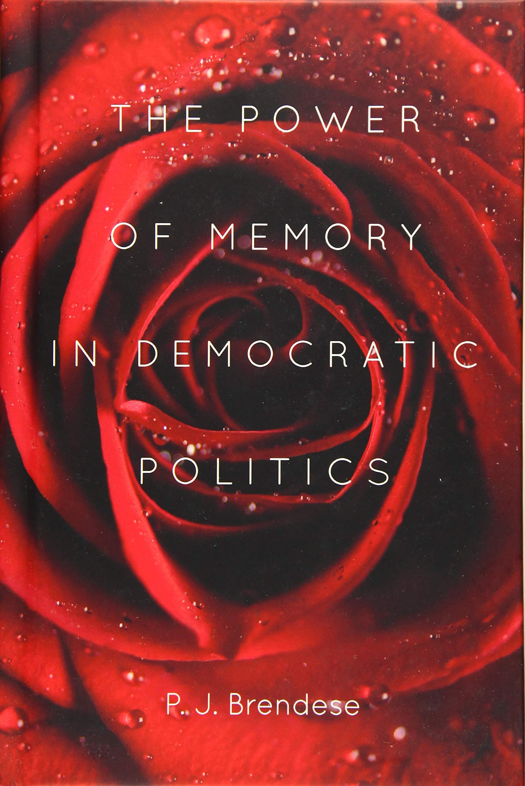 The Power of Memory in Democratic Politics Law