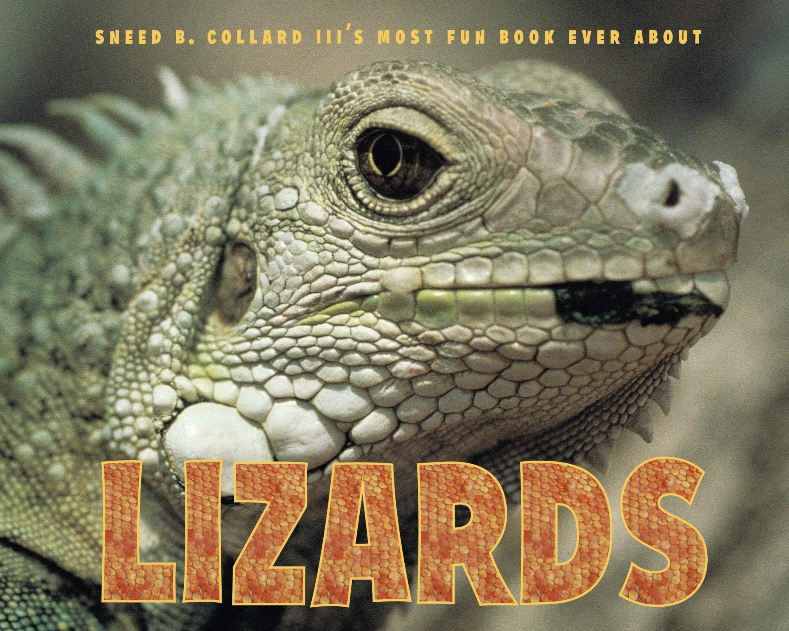 Sneed B. Collard III's Most Fun Book Ever about Lizards Non-fiction