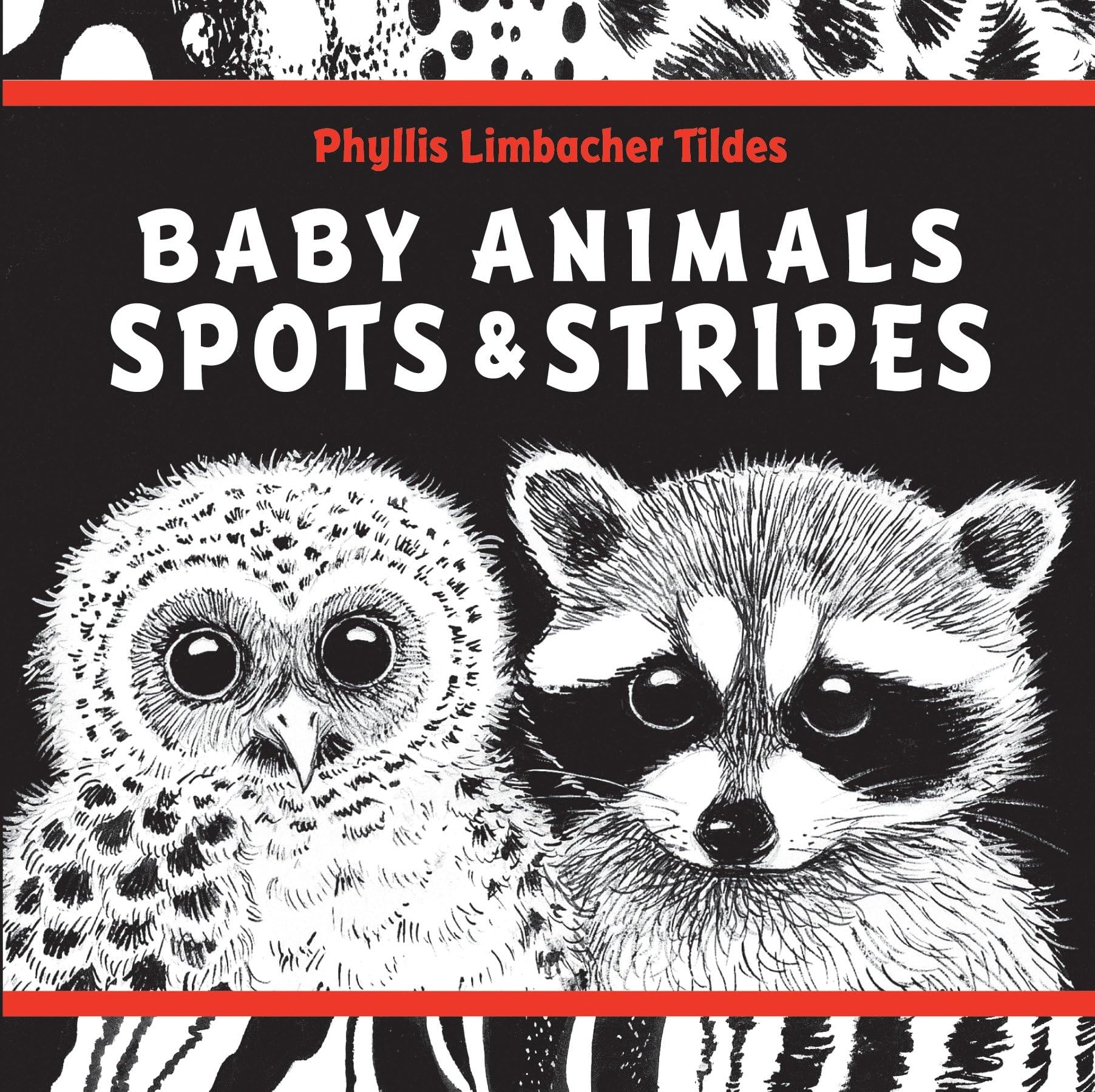 Baby Animals Spots & Stripes Parents & Children