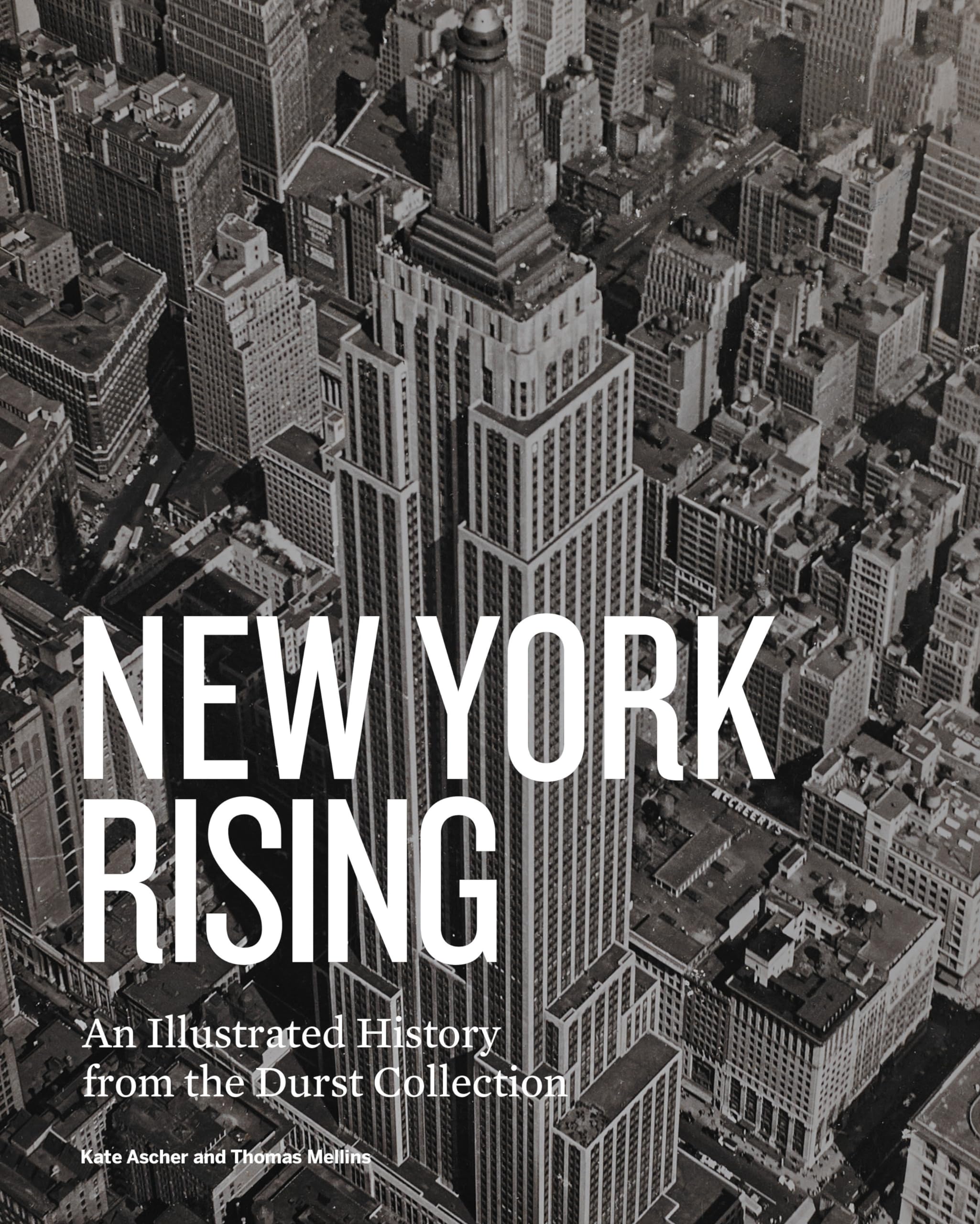 New York Rising: An Illustrated History from the Durst Collection Business, Finance & Career