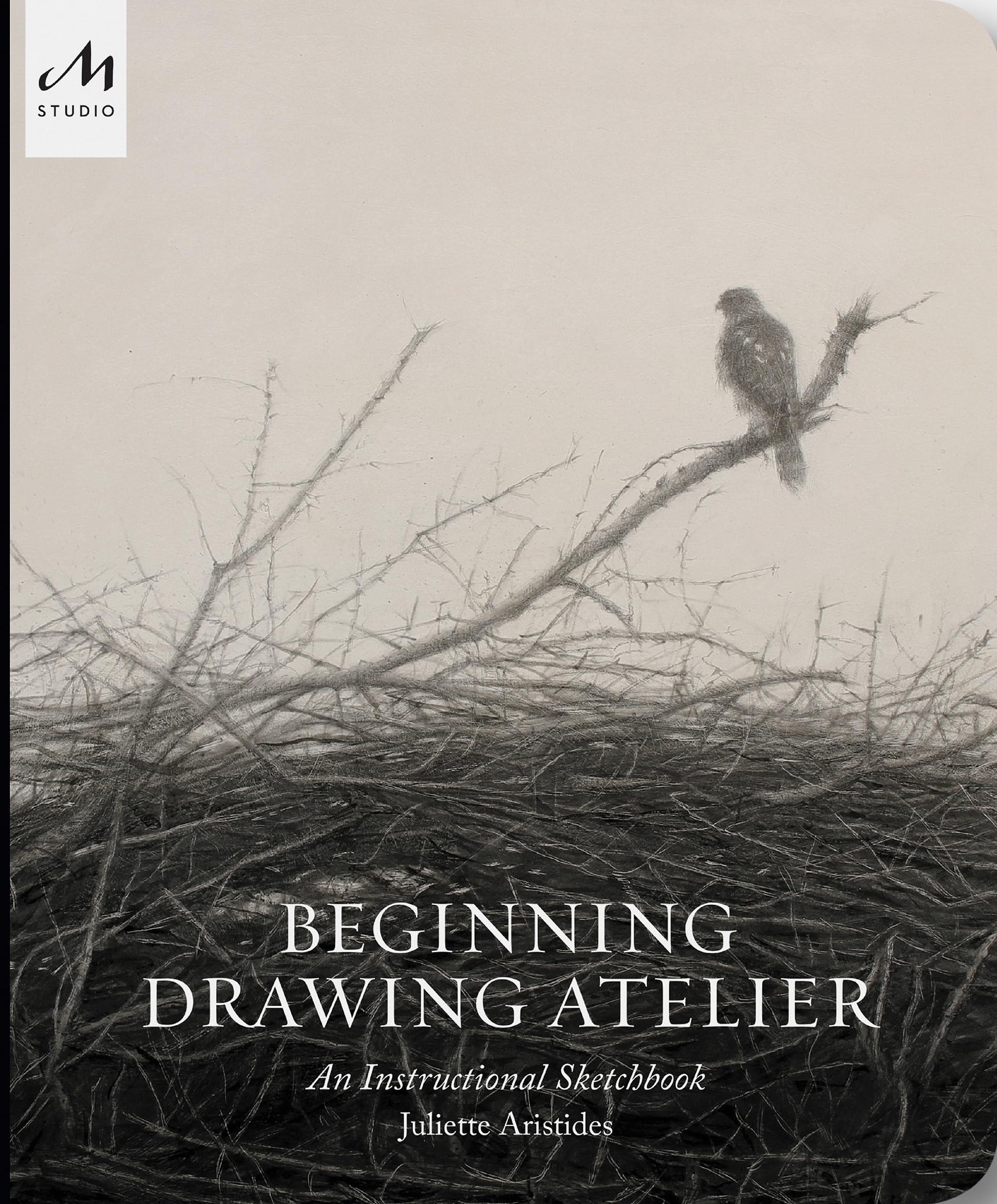 Beginning Drawing Atelier: An Instructional Sketchbook (The Monacelli Press) book