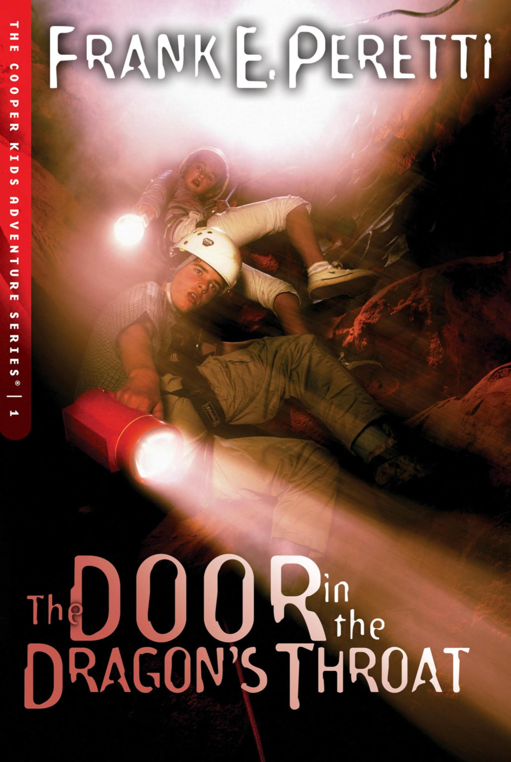 The Door in the Dragon's Throat book