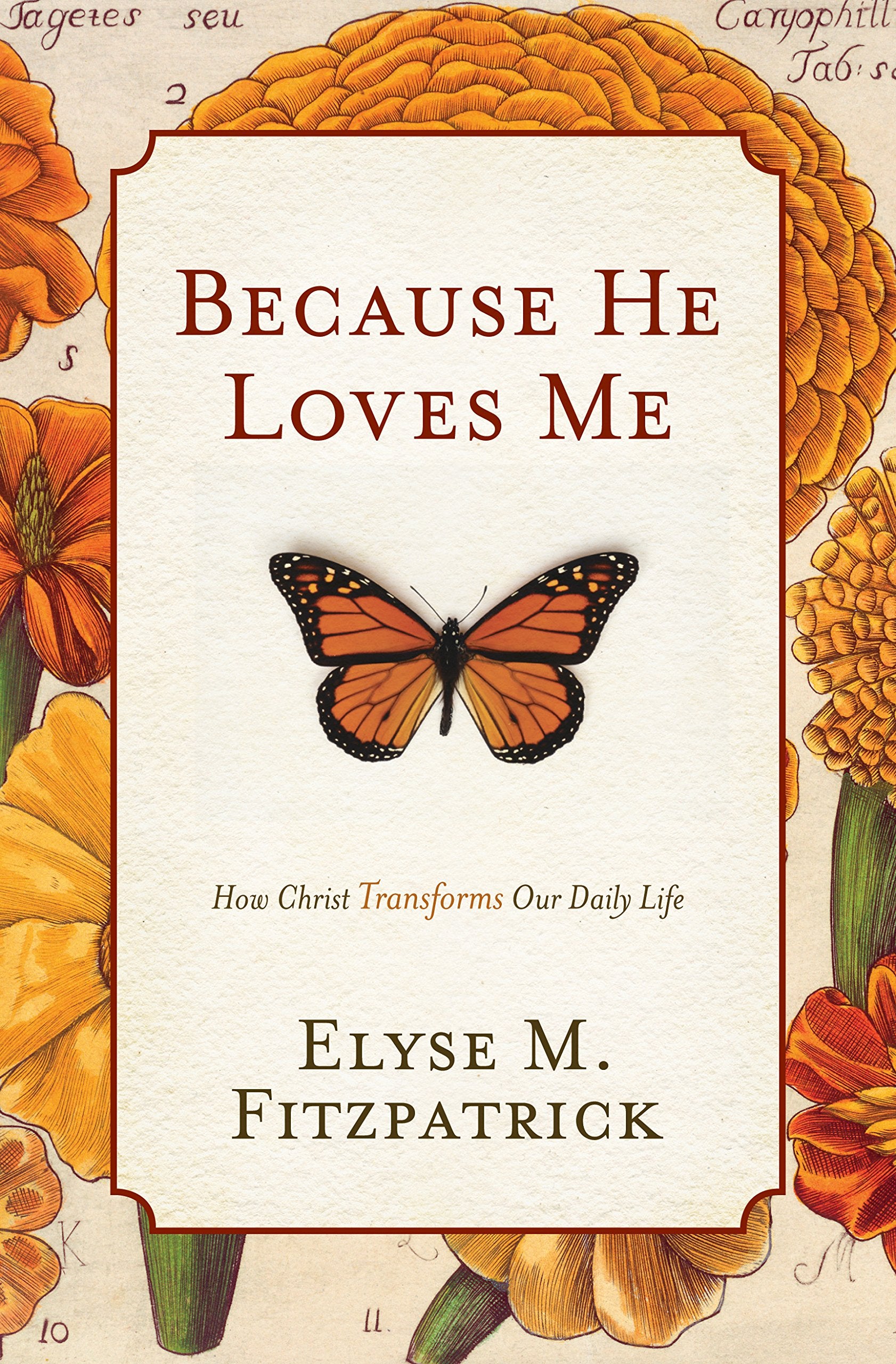 Because He Loves Me: How Christ Transforms Our Daily Life Religion & Esotericism