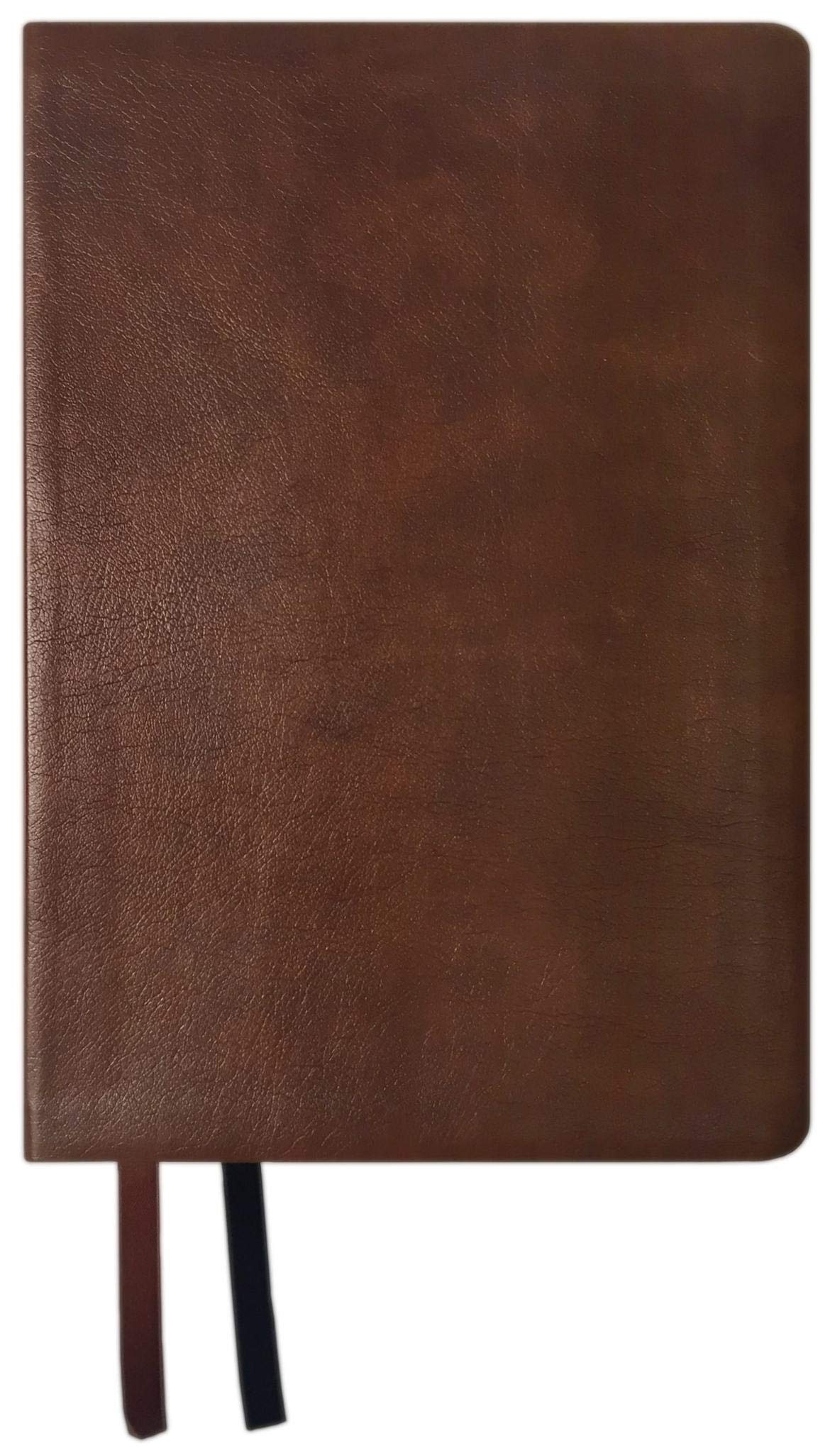NASB 2020 Giant Print Text Bible, Brown Religion & Esotericism