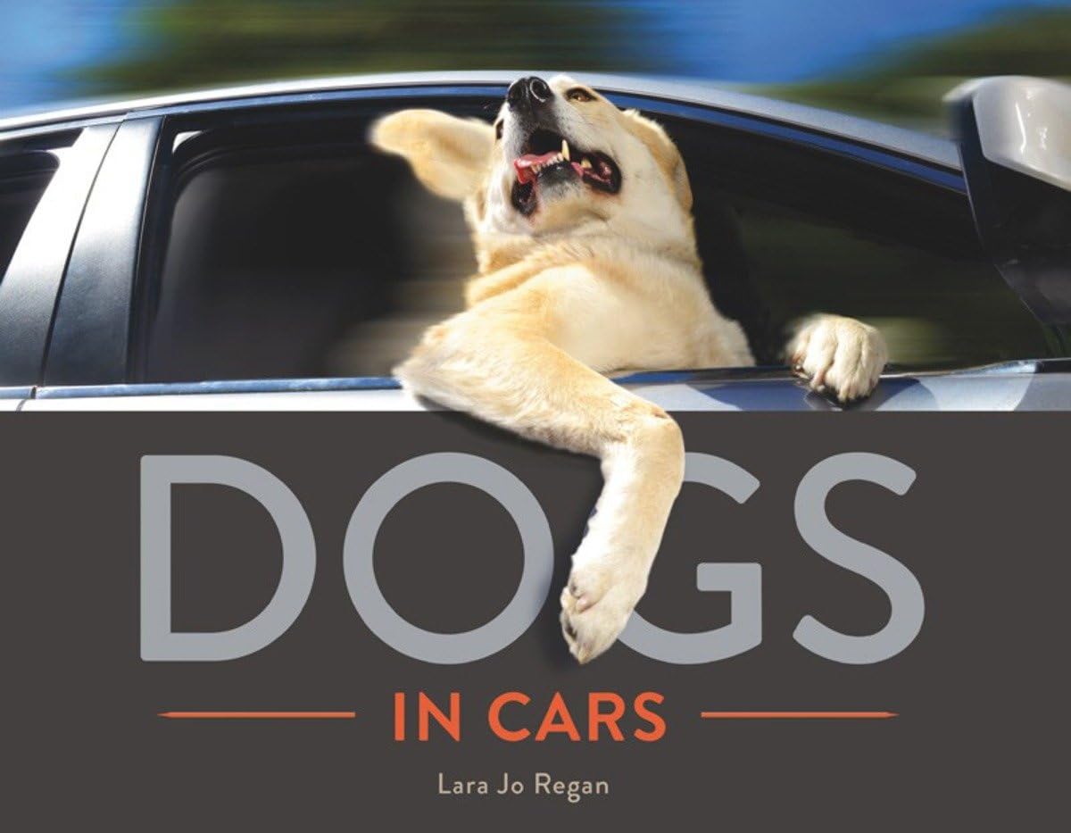 Dogs in Cars Photography