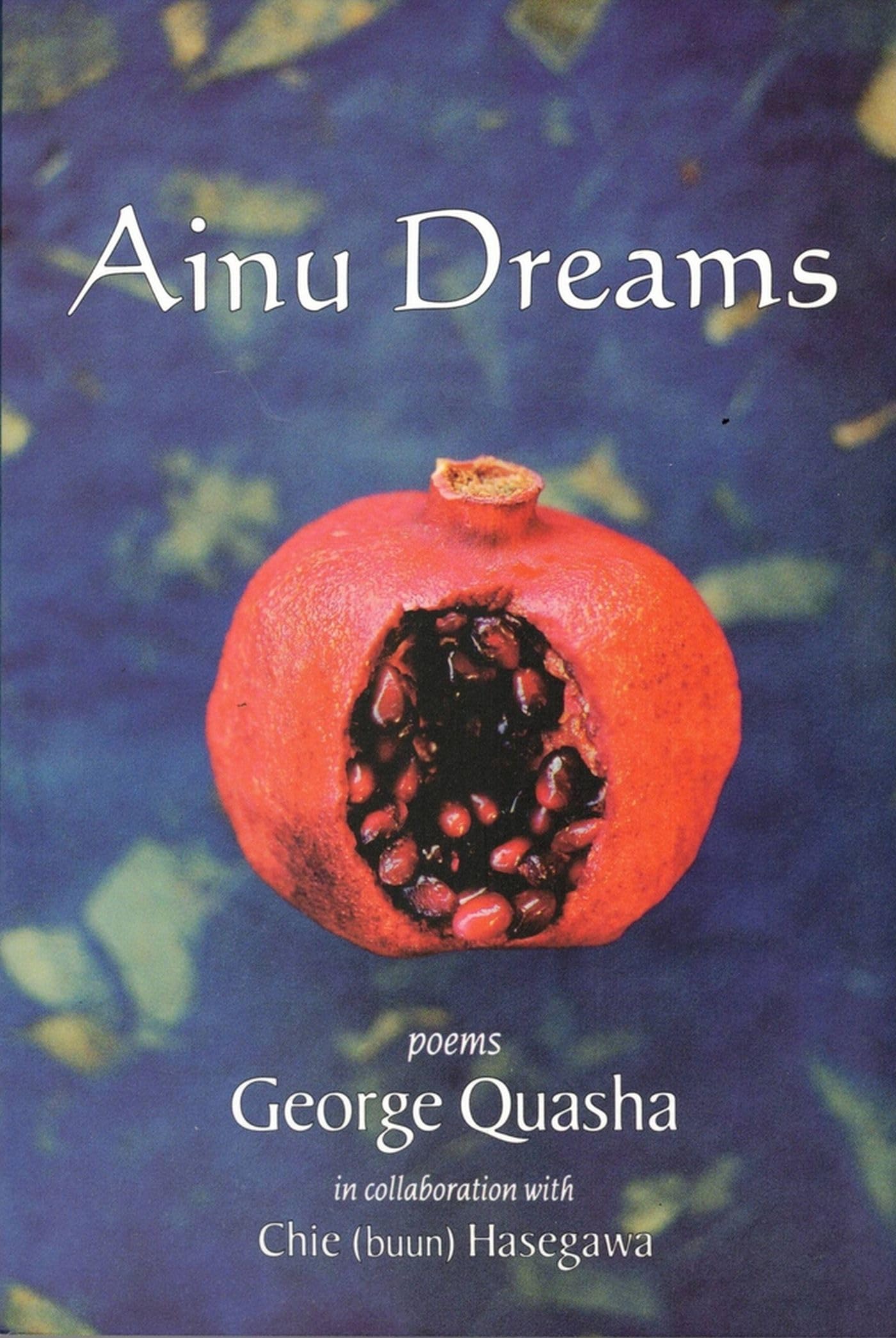 Ainu Dreams: Poems: Poems from the Dream of Buun (Barrytown) Poetry