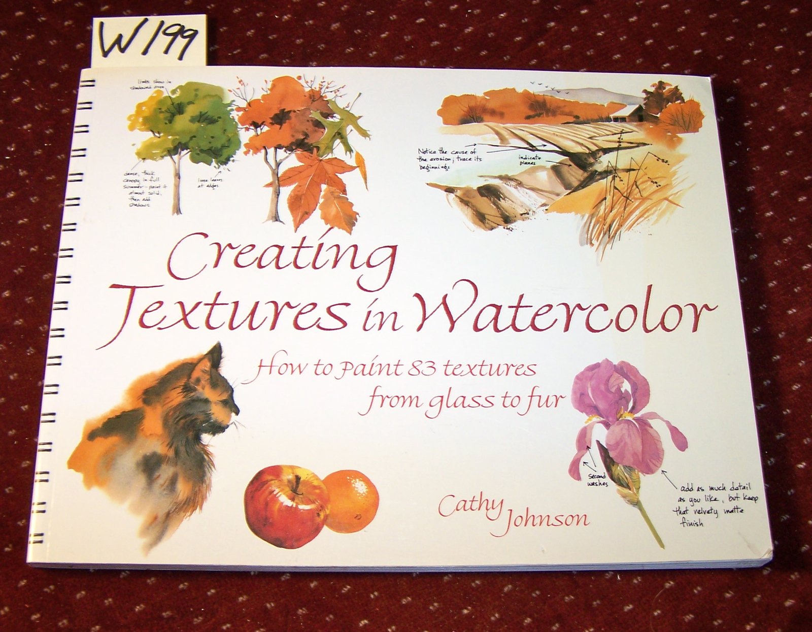 Creating Textures in Watercolor: A Guide to Painting 83 Textures from Grass to Glass to Tree Bark to Fur book