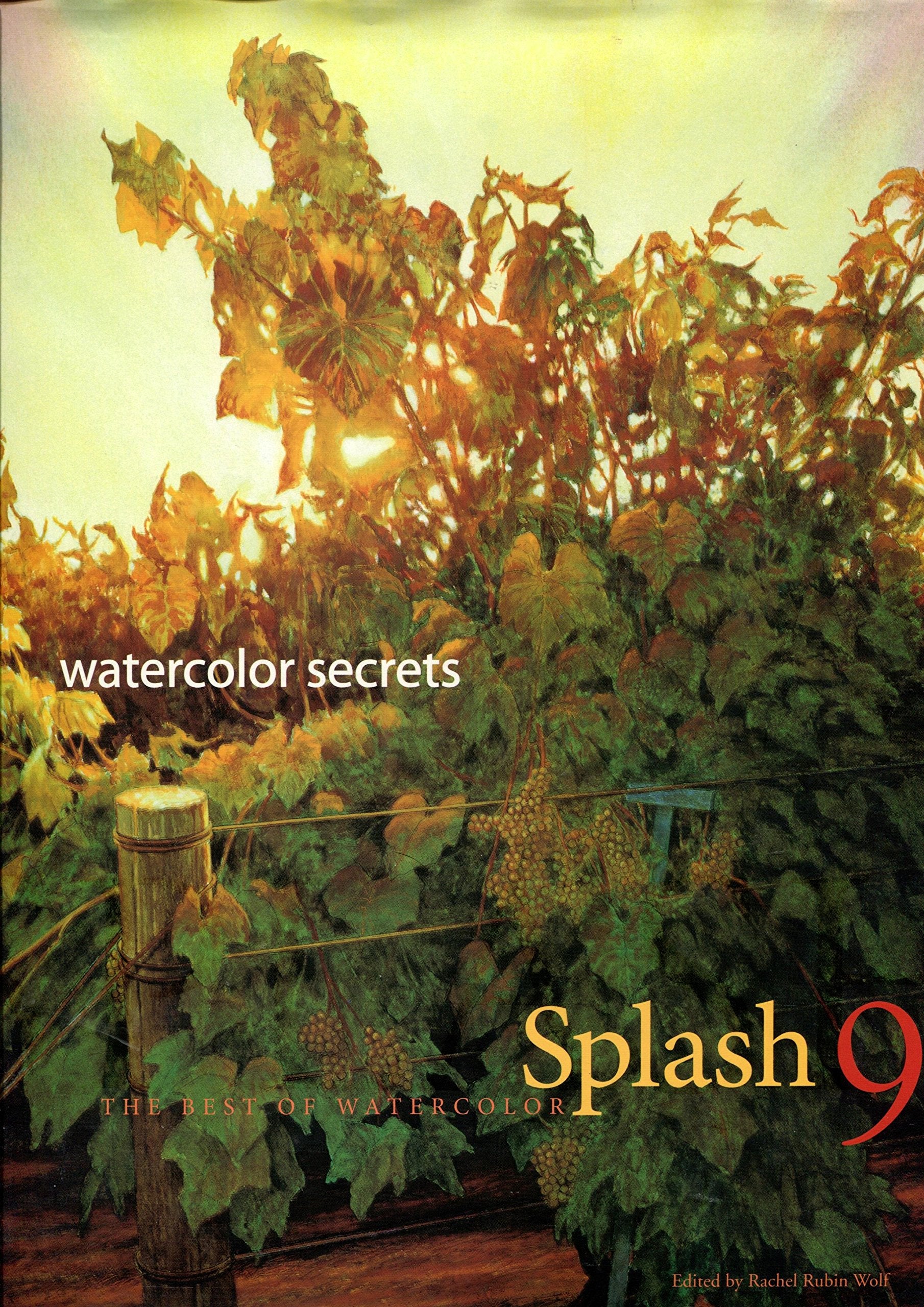 Splash 9: Watercolor Secrets: the Best of Watercolor Film, Art & Culture