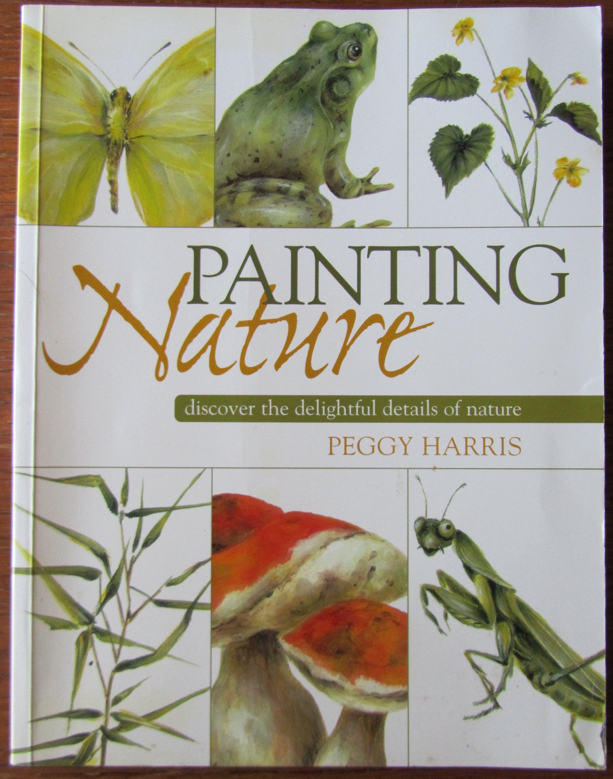 Painting Nature: Discover The Delightful Details Of Nature book
