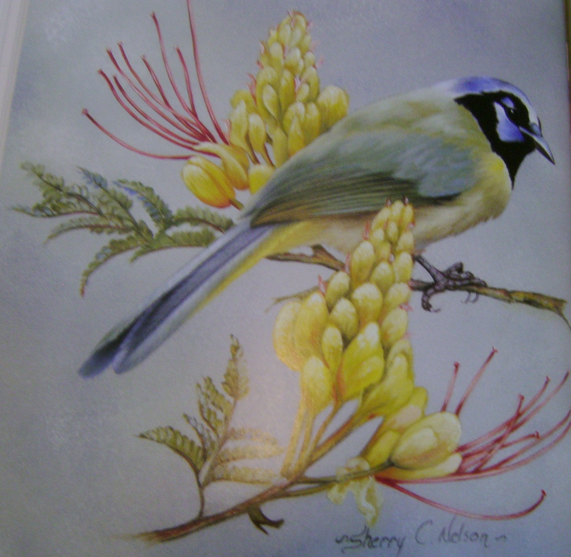 Painting Songbirds with Sherry C. Nelson: 15 Beautiful Birds in Oil Film, Art & Culture