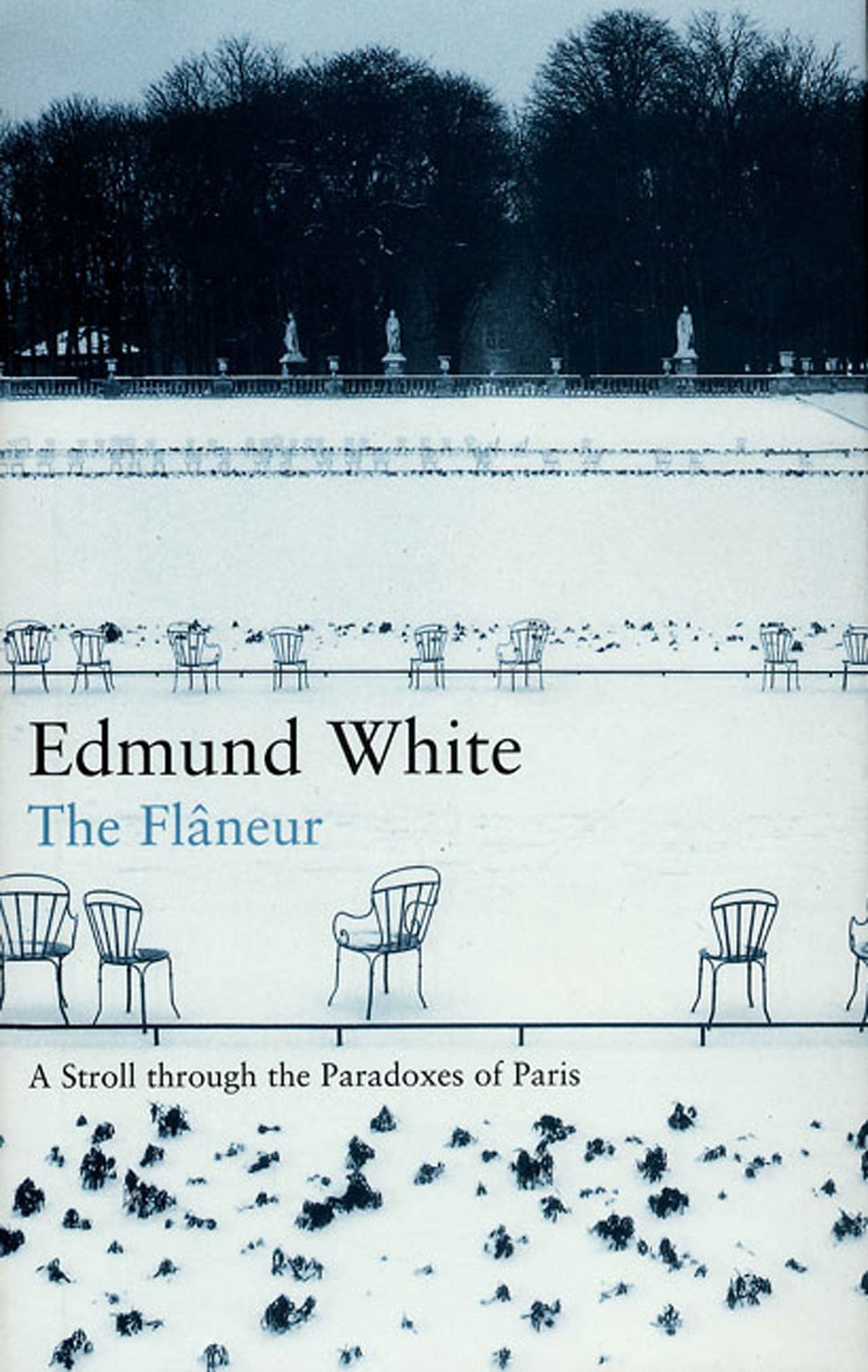 The Flaneur: A Stroll Through the Paradoxes of Paris Politics & History