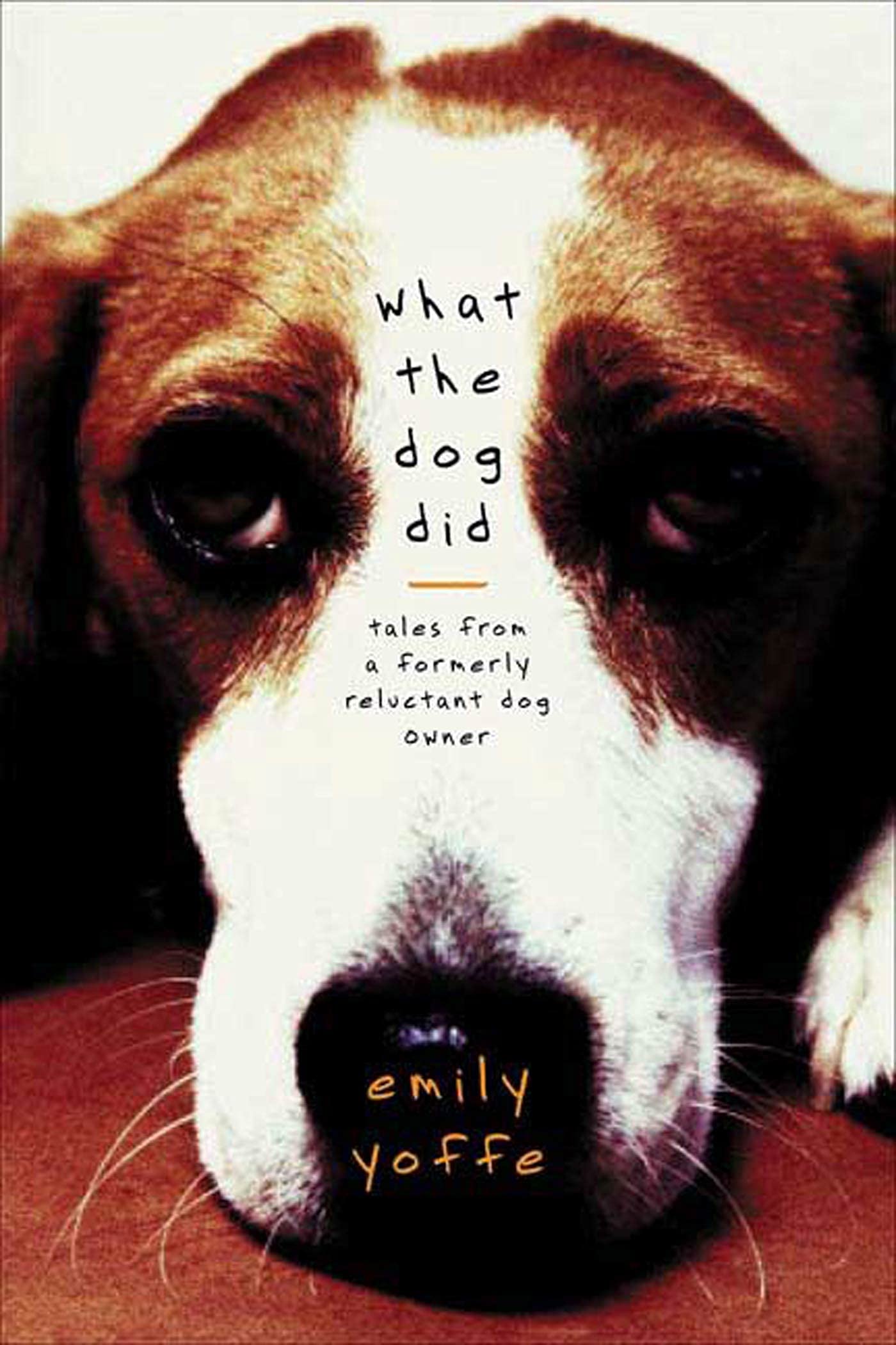 What The Dog Did: Tales From A Formerly Reluctant Dog Owner book