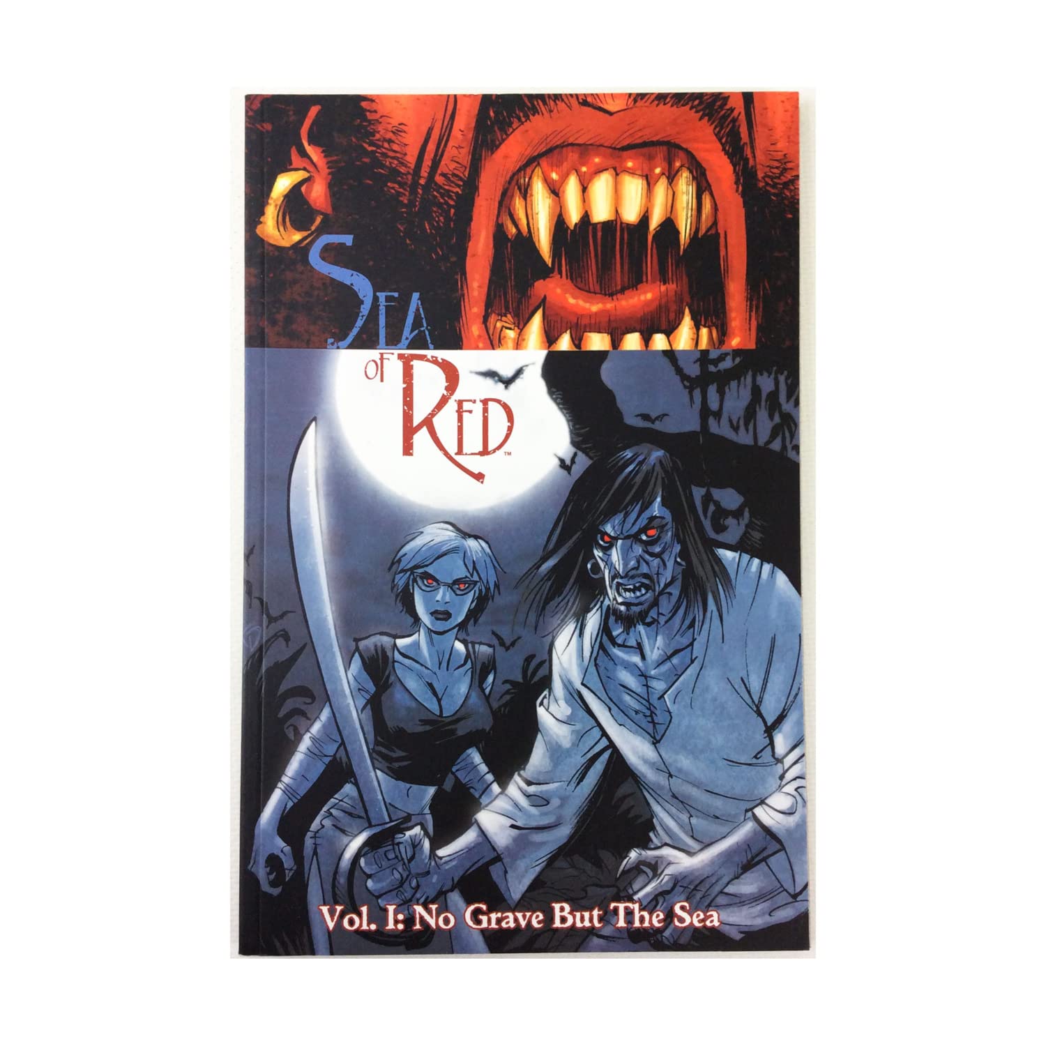 Arthur Suydam: The Art Of The Barbarian (Sea of Red 1) (Hardcover) book