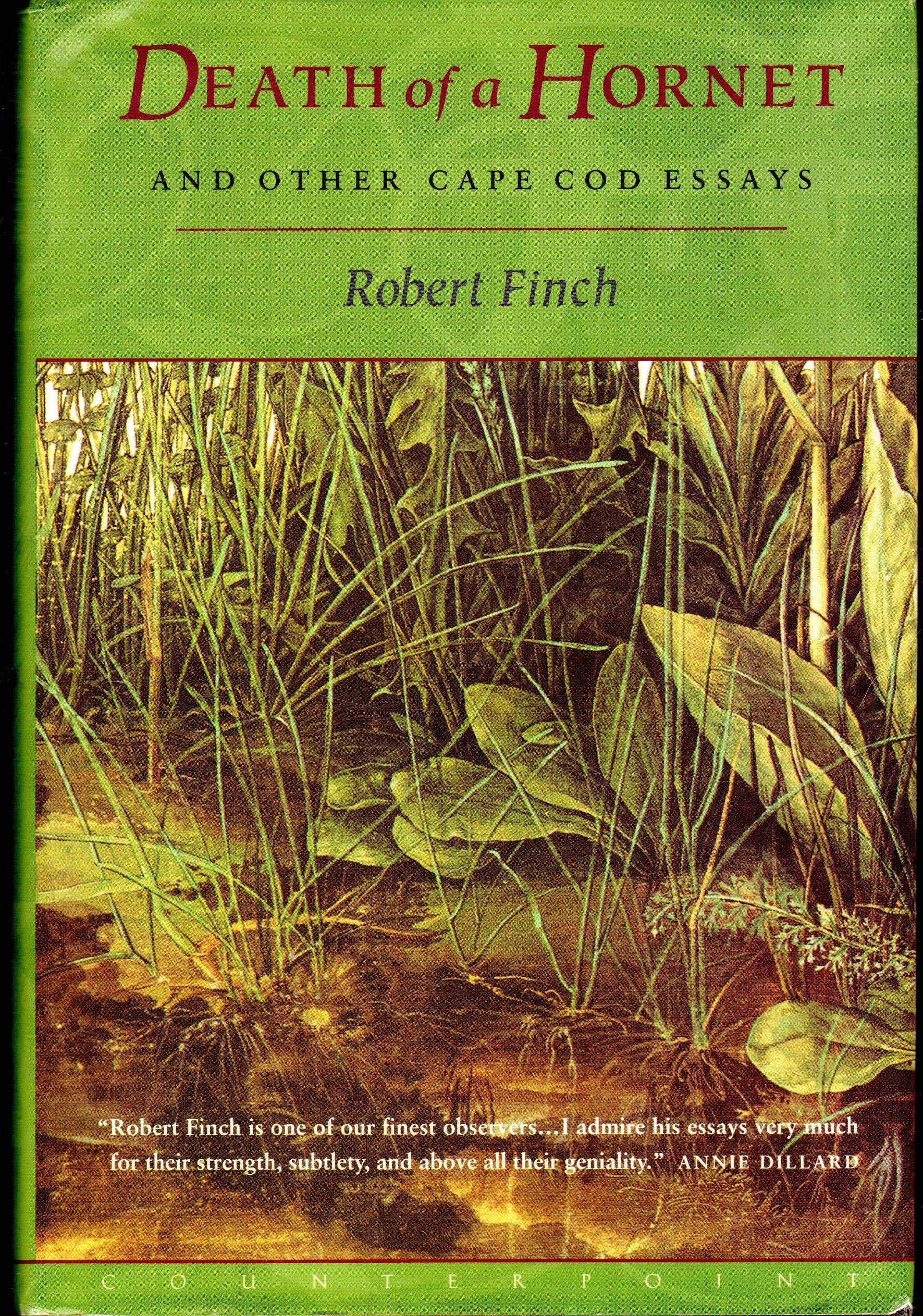 Death of a Hornet: And Other Cape Cod Essays Mathematics