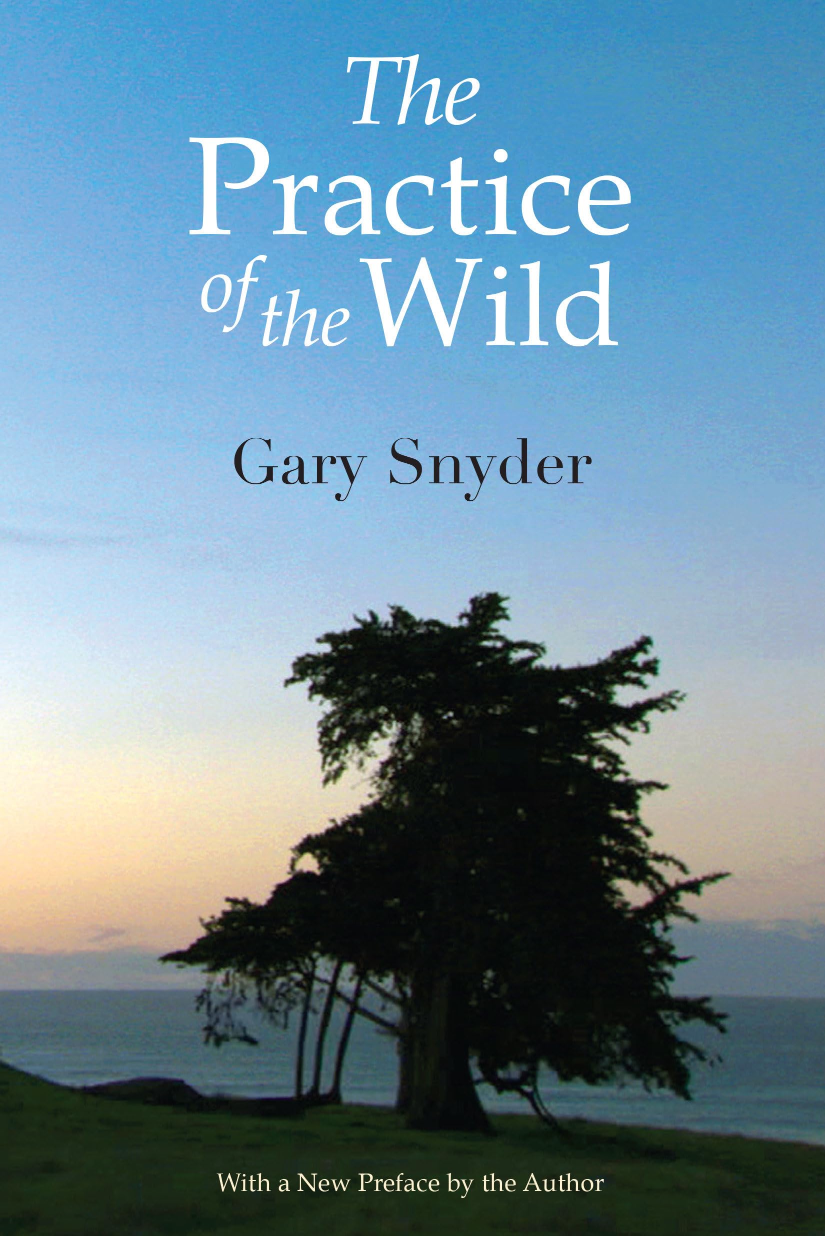 The Practice of the Wild: With a New Preface by the Author Business & Technology
