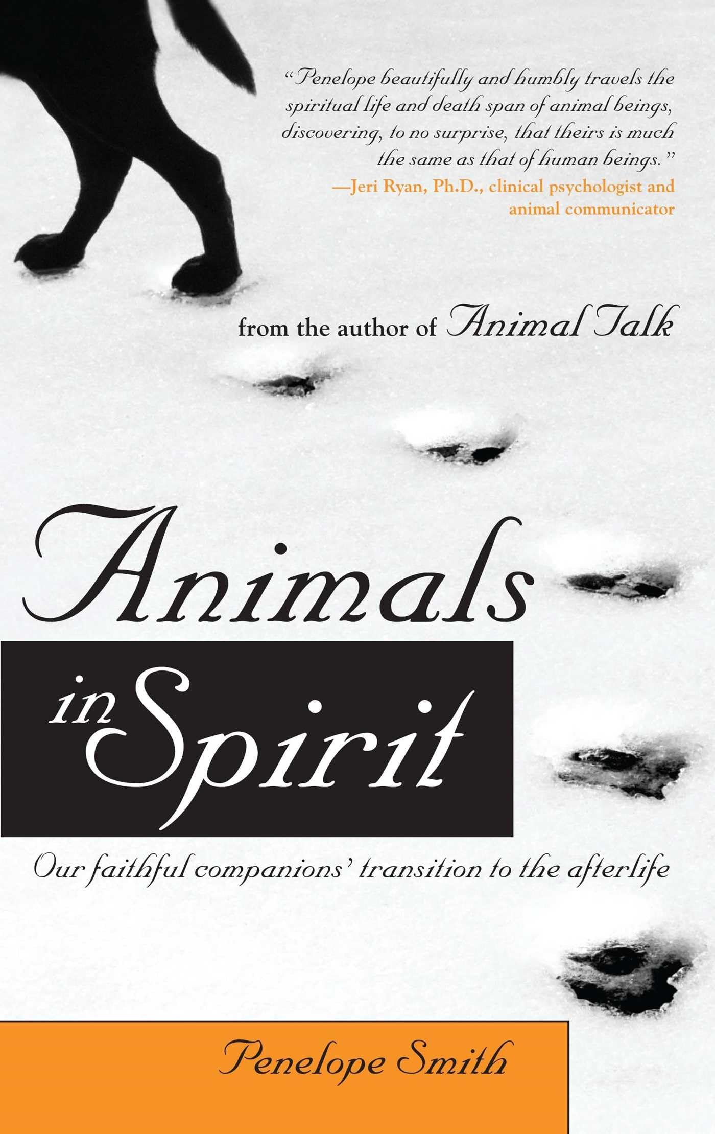 Animals in Spirit: Our faithful companions' transition to the afterlife Pets
