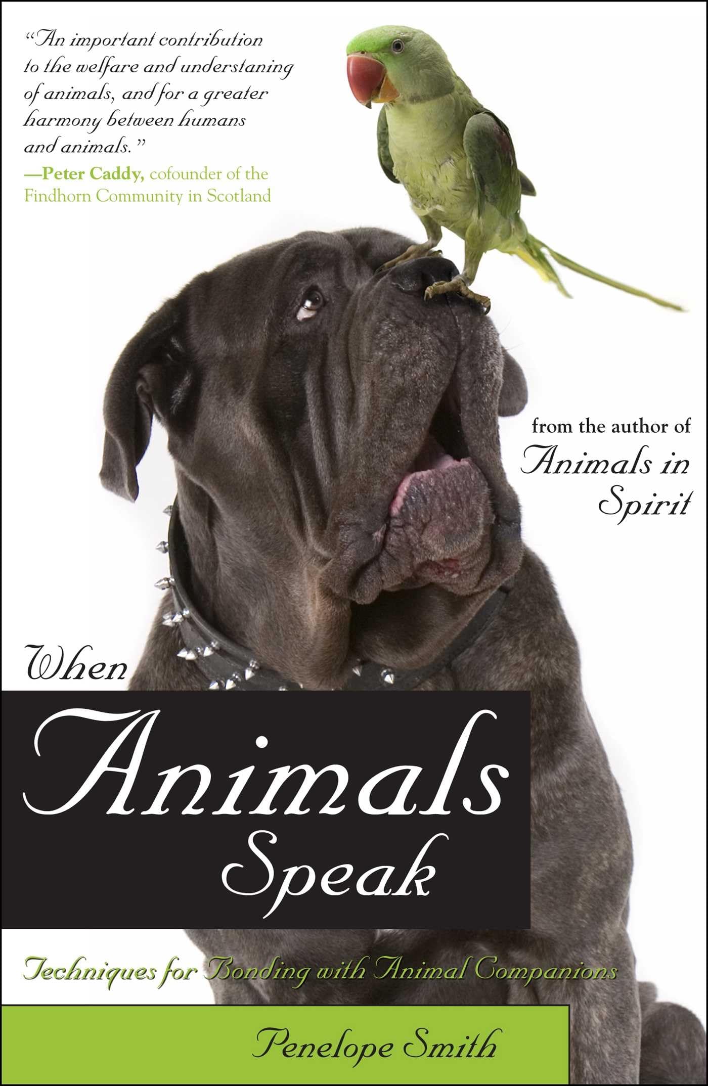 When Animals Speak Mathematics