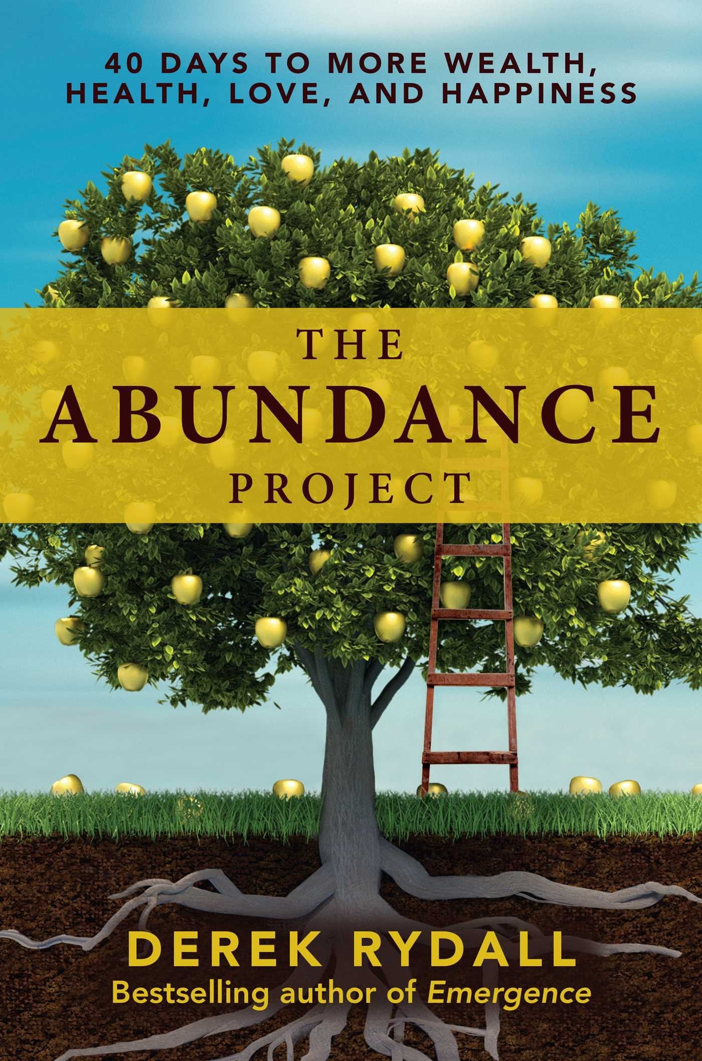 Product Image: The Abundance Project