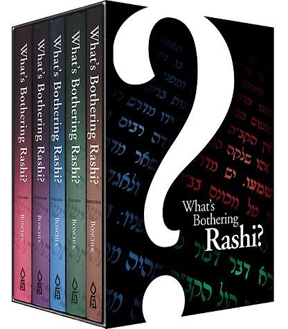 What's Bothering Rashi? -- Bamidbar (What's Bothering Rashi Series) by Avigdor Bonchek (2005-01-01) Books