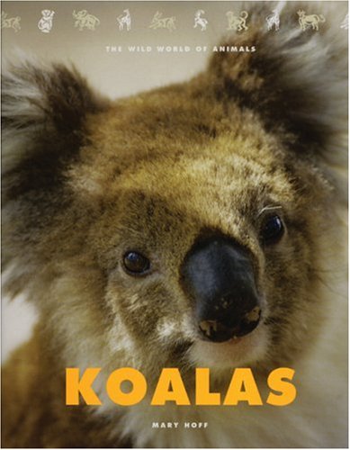 Koalas (The Wild World of Animals) Non-fiction