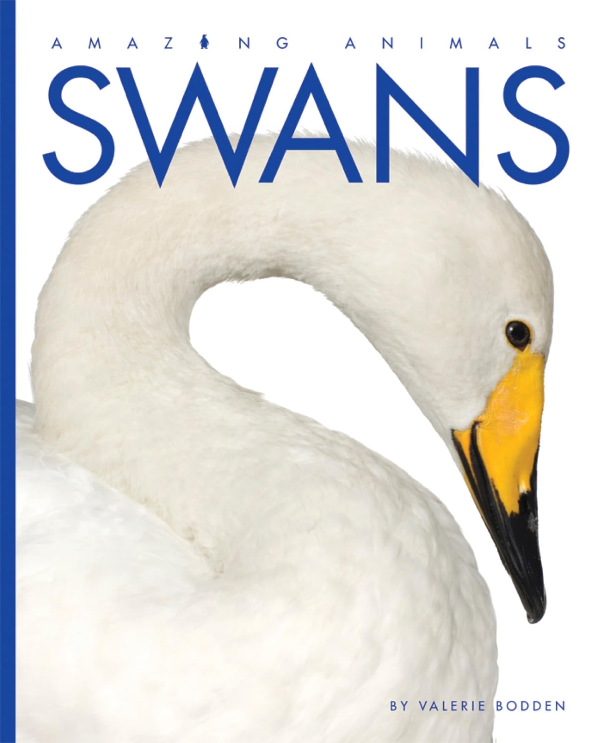 Swans (Amazing Animals) Mathematics