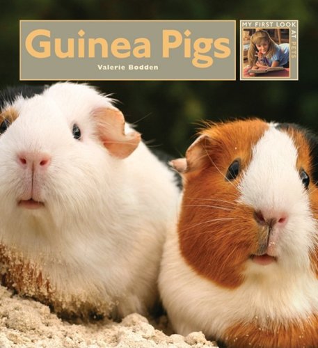 Guinea Pigs (My First Look at Pets) Non-fiction