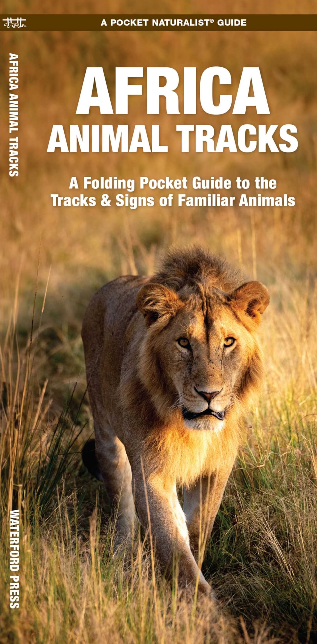 Africa Animal Tracks: A Folding Pocket Guide to the Tracks & Signs of Familiar Species (Nature Observation International) Leisure, Home & Garden