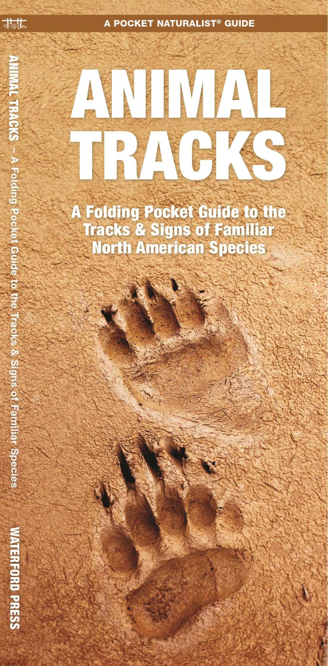Product Image: Animal Tracks