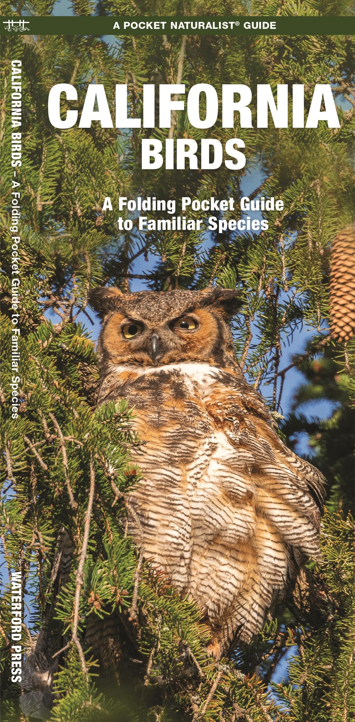 California Birds: A Folding Pocket Guide to Familiar Species (Pocket Naturalist Guide Series) Mathematics